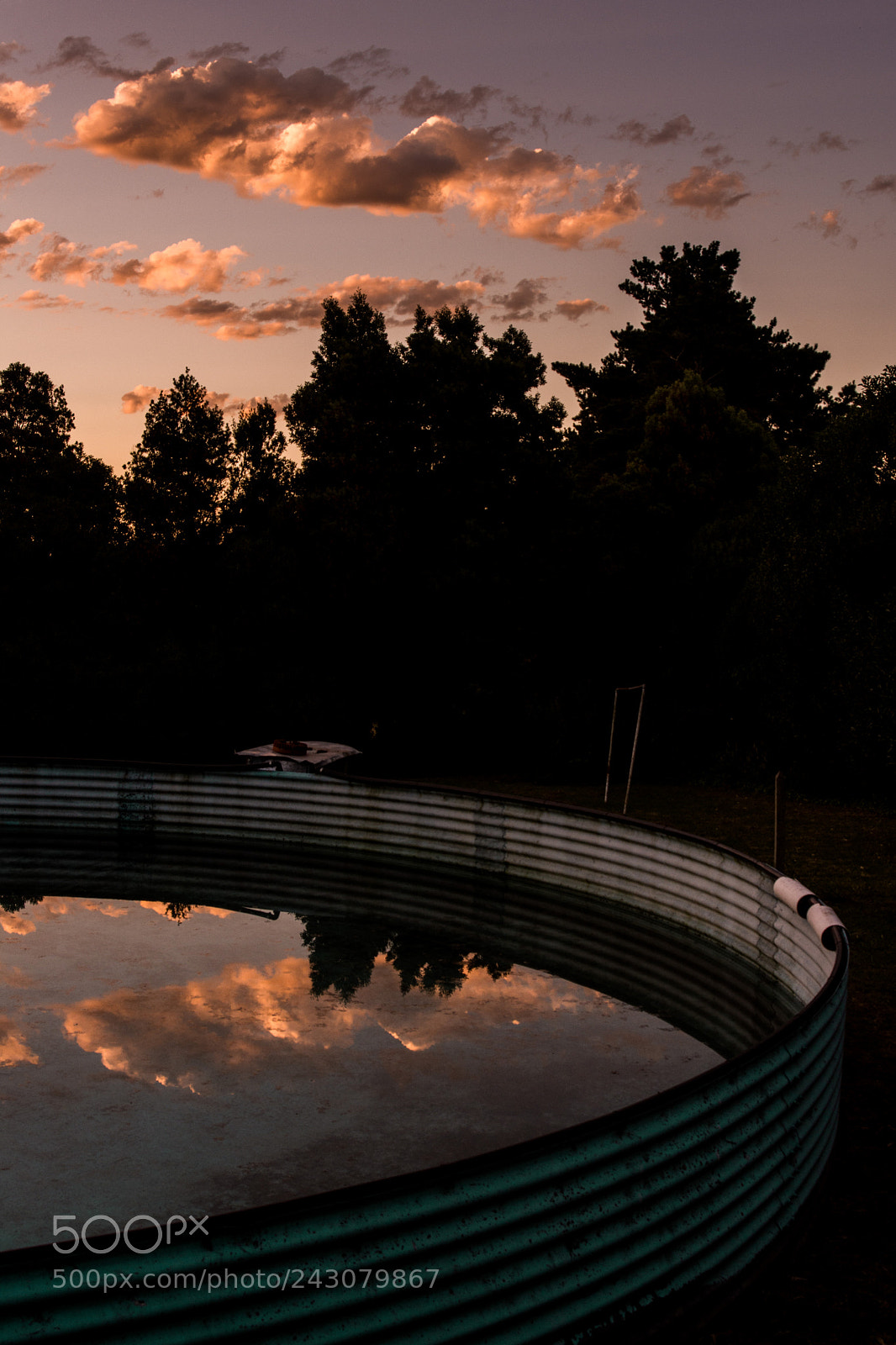 Nikon D7200 sample photo. Laserranita photography