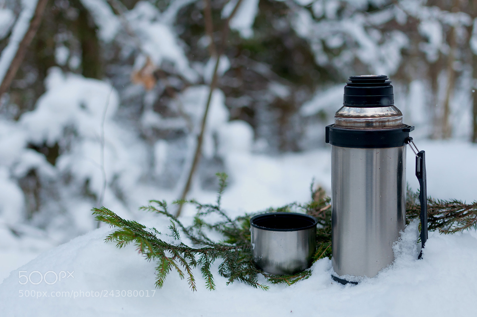 Nikon D90 sample photo. Winter photography