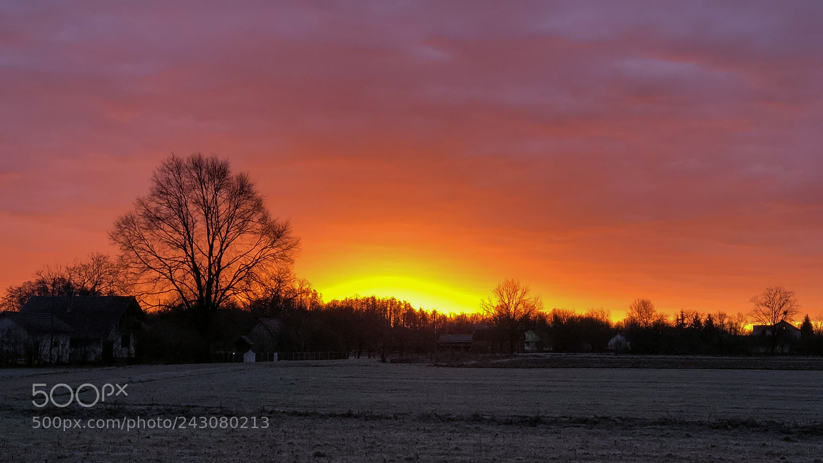 Apple iPhone 8 Plus sample photo. Winter sunrise photography