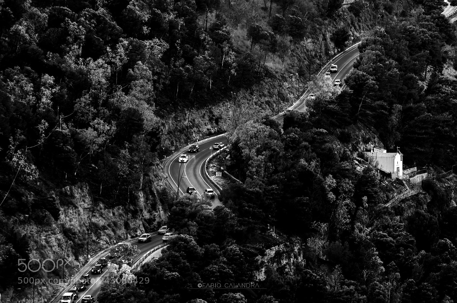 Nikon D5100 sample photo. Untitled photography