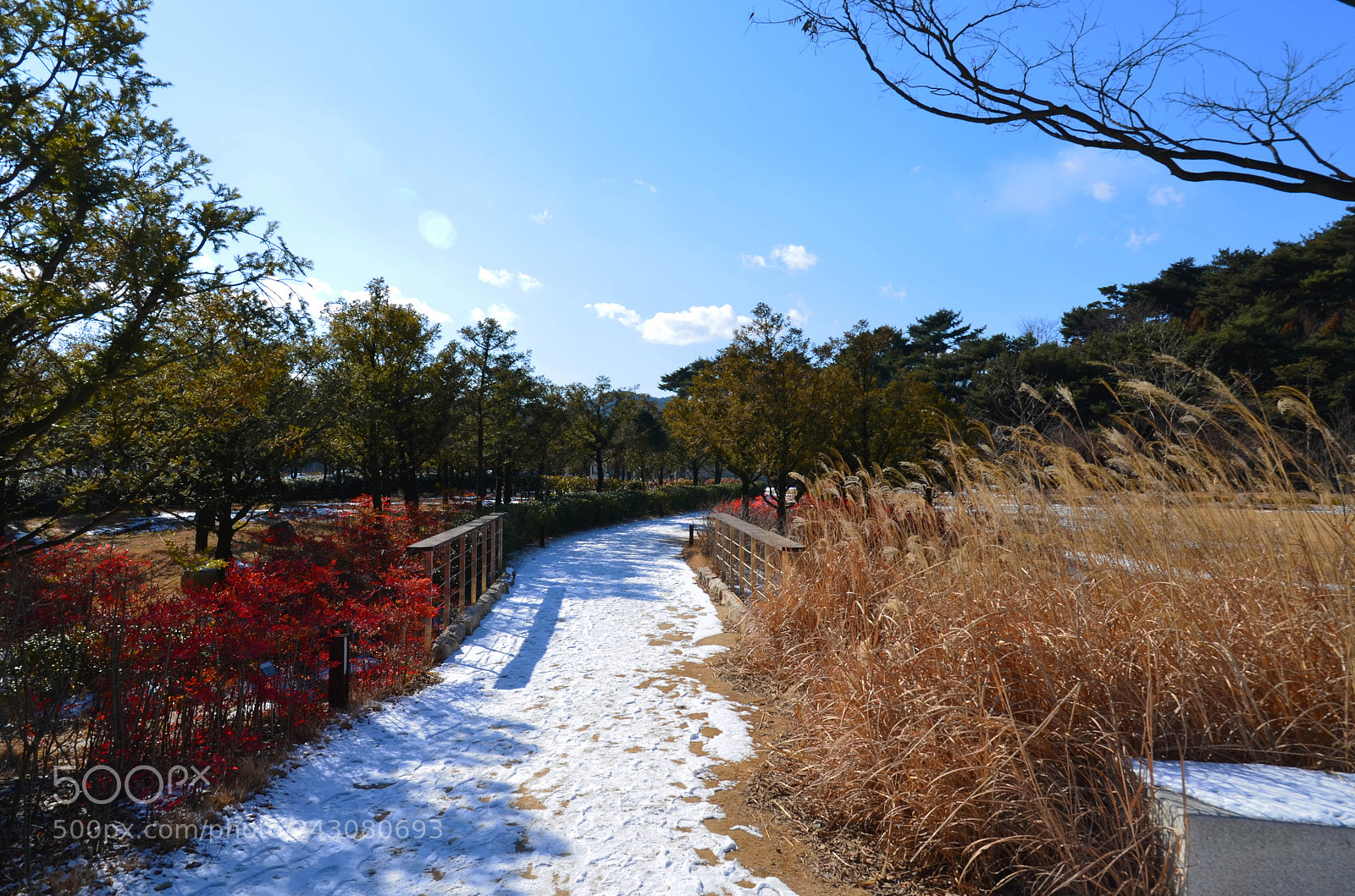 Nikon D5100 sample photo. Snowy trail photography