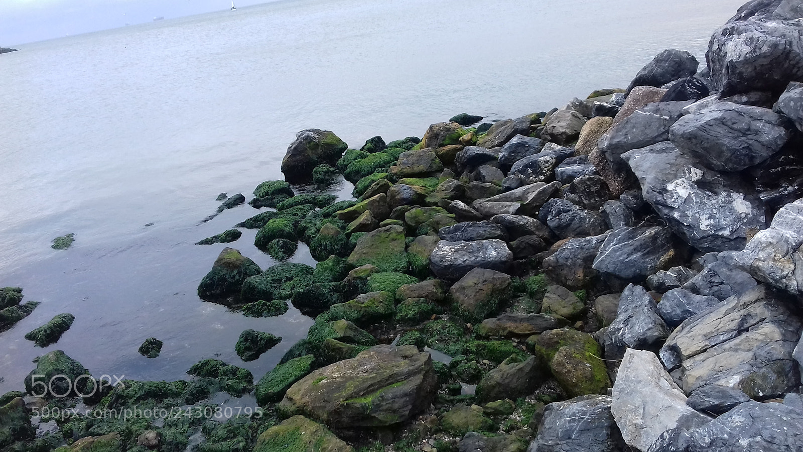 Samsung Galaxy J3(2016) sample photo. Untitled photography