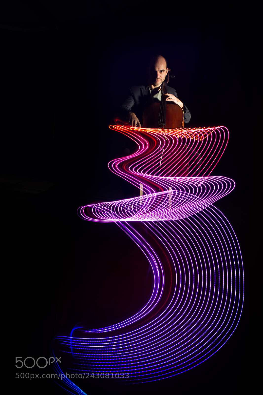 Nikon D800 sample photo. Cello in the dark photography