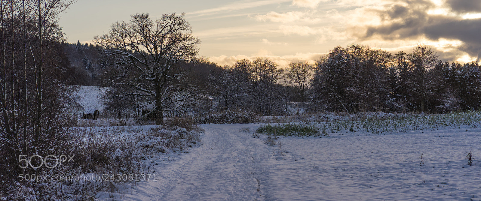 Sony a7R sample photo. Dsc photography