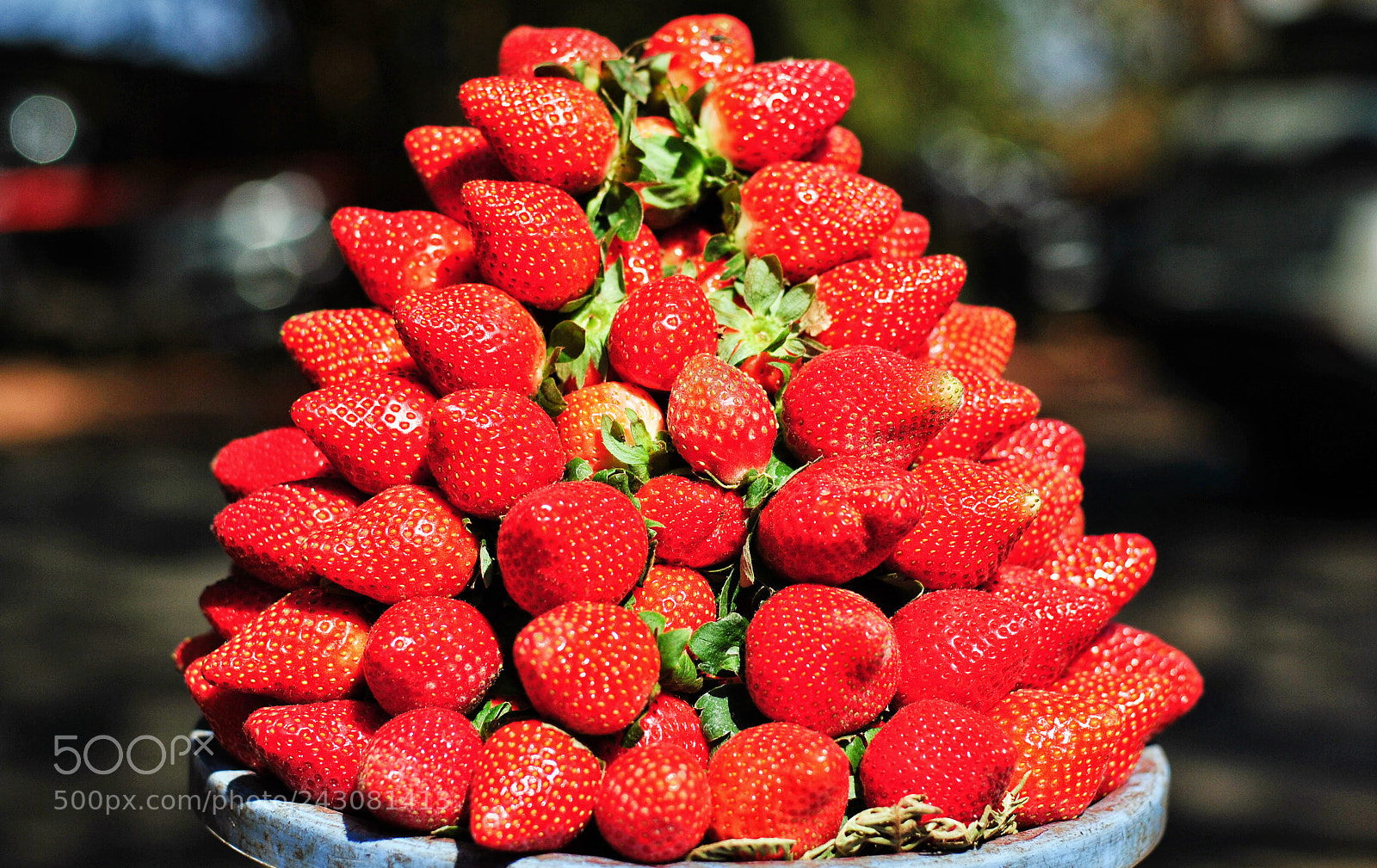 Nikon D3000 sample photo. Untitled photography