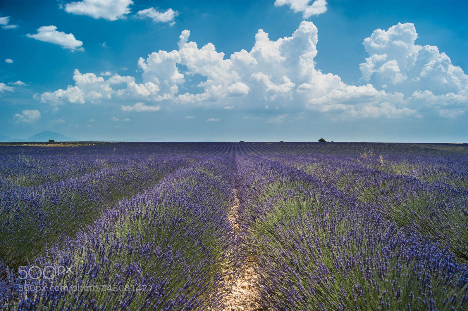 Sony Alpha DSLR-A350 sample photo. 37575021544.jpg photography