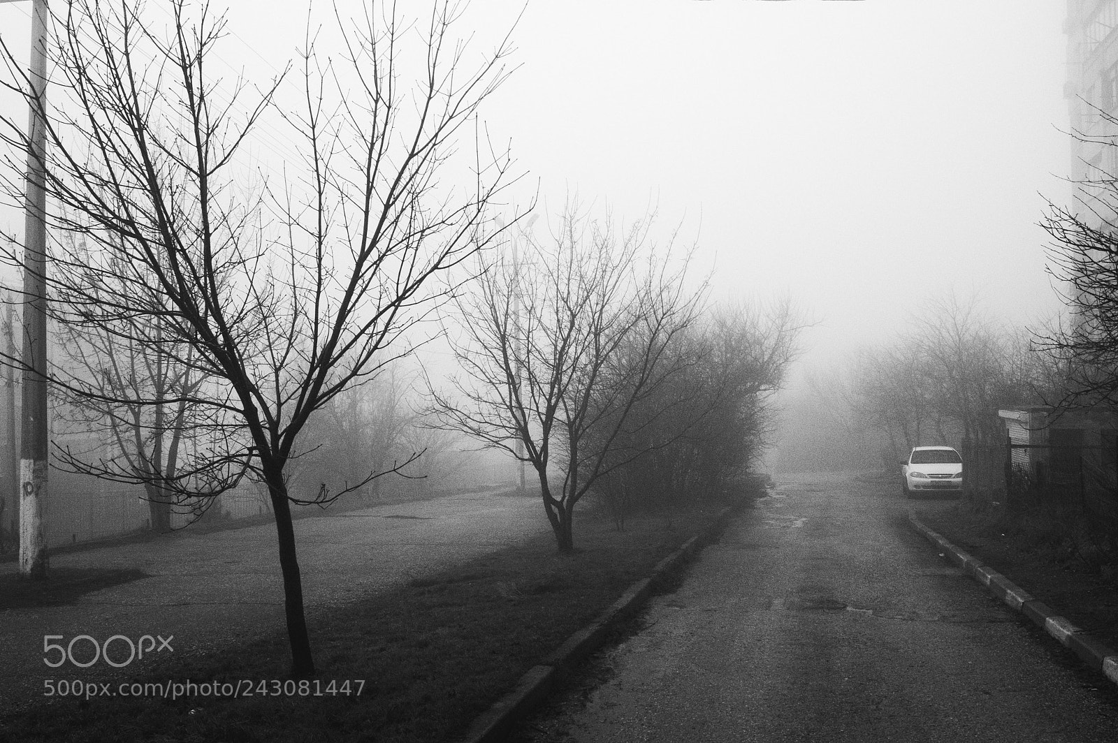 Nikon D3200 sample photo. Foggy day photography