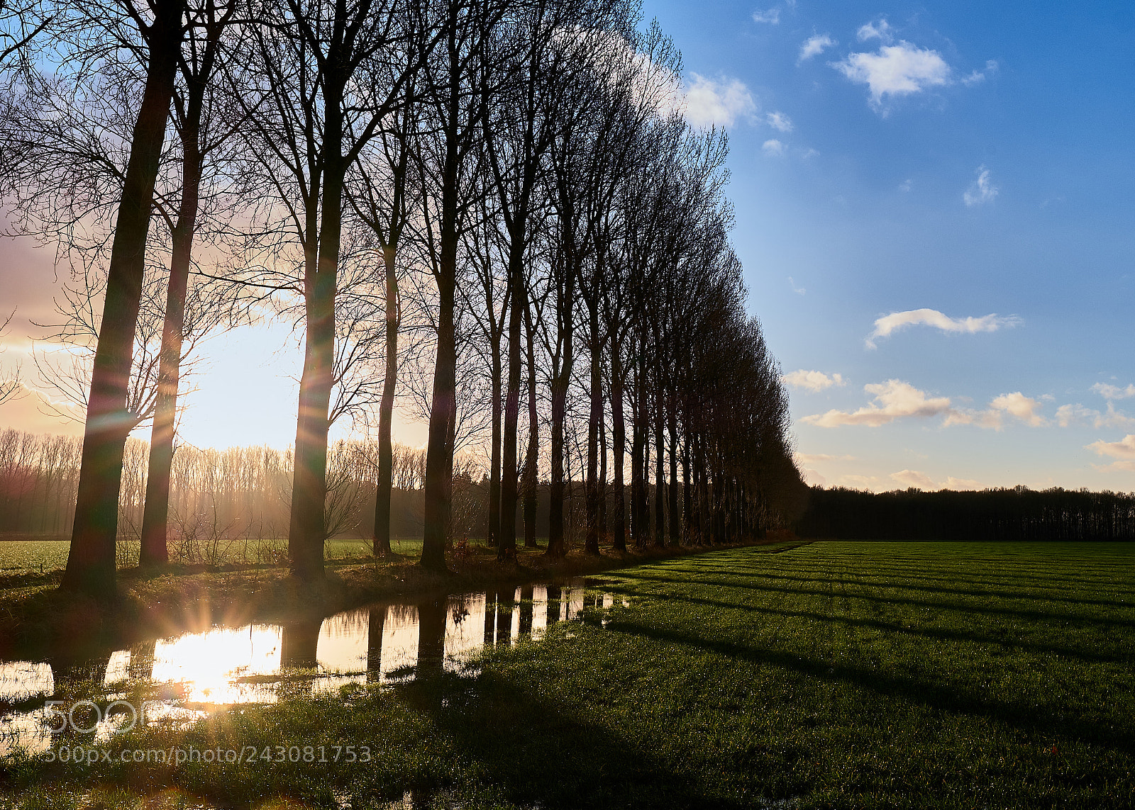 Fujifilm X-T2 sample photo. Treeline photography