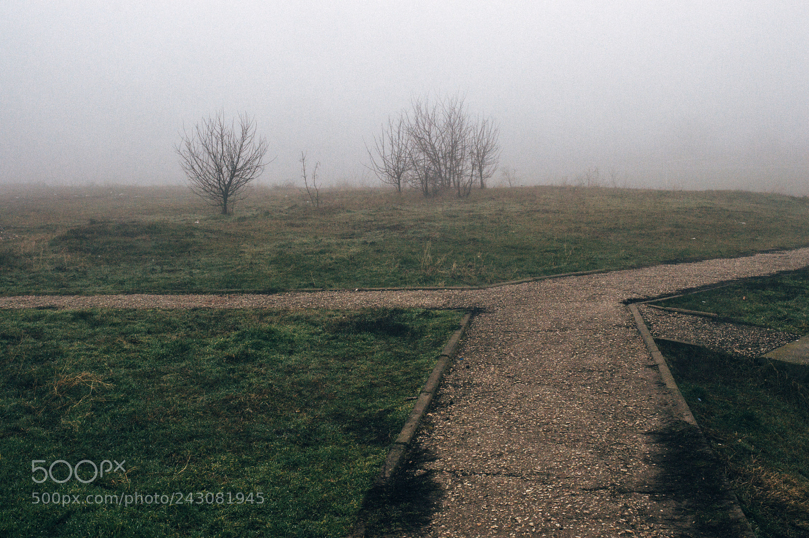 Nikon D3200 sample photo. Choose the way photography