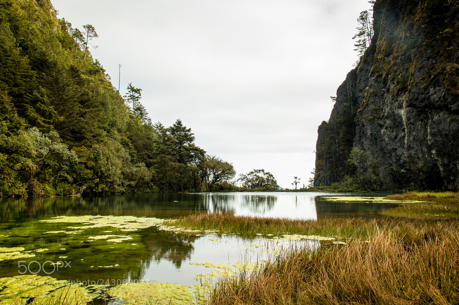 Canon EOS 7D Mark II sample photo. Laguna magdalena photography