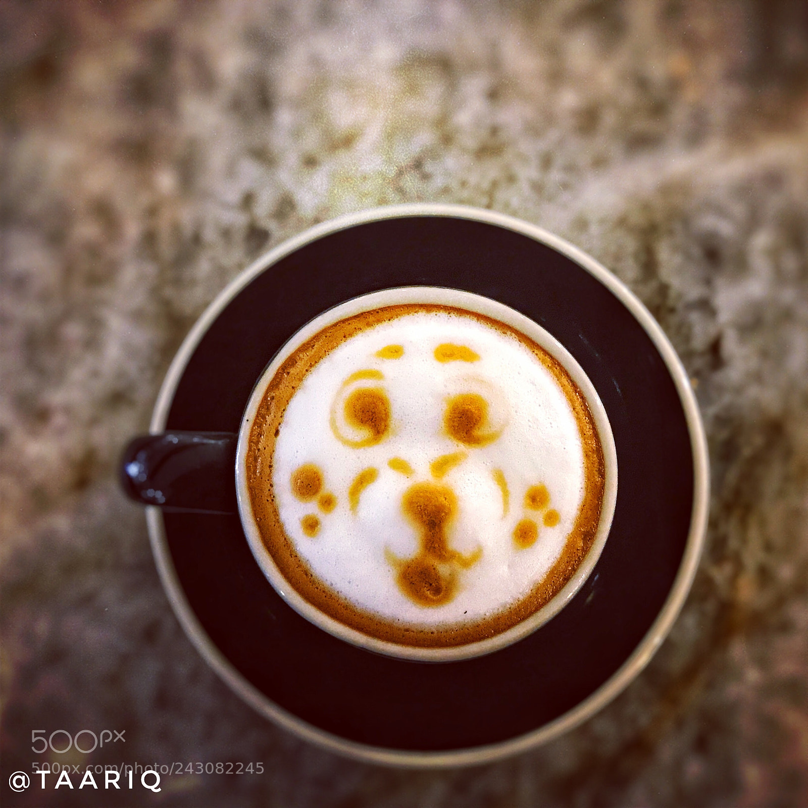 Apple iPhone 7 Plus sample photo. Macchiato photography