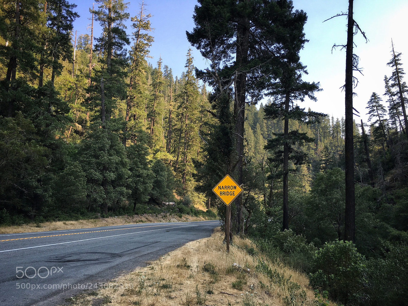 Apple iPhone 6s sample photo. California photography