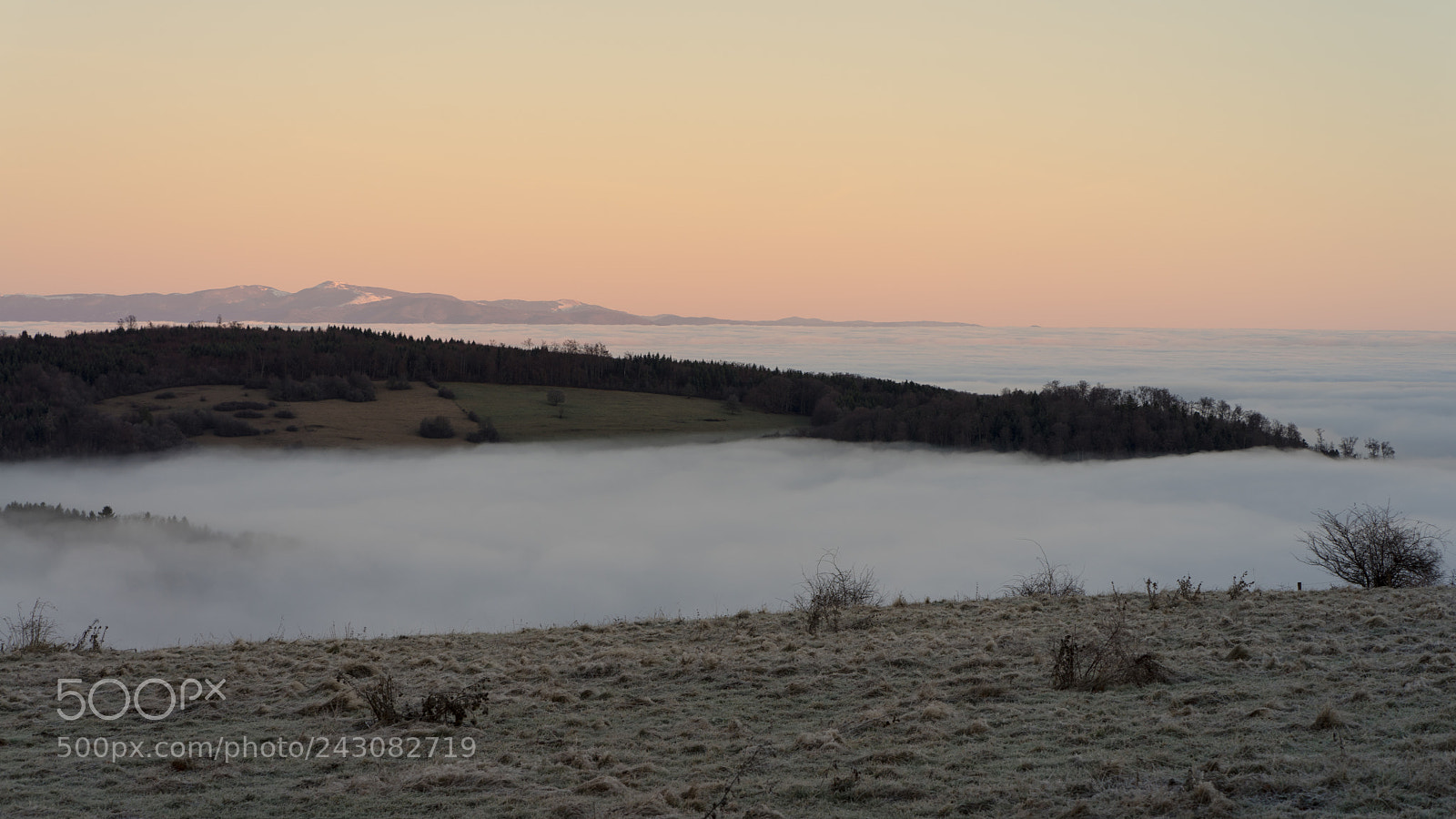 Sony a7R sample photo. Dsc photography