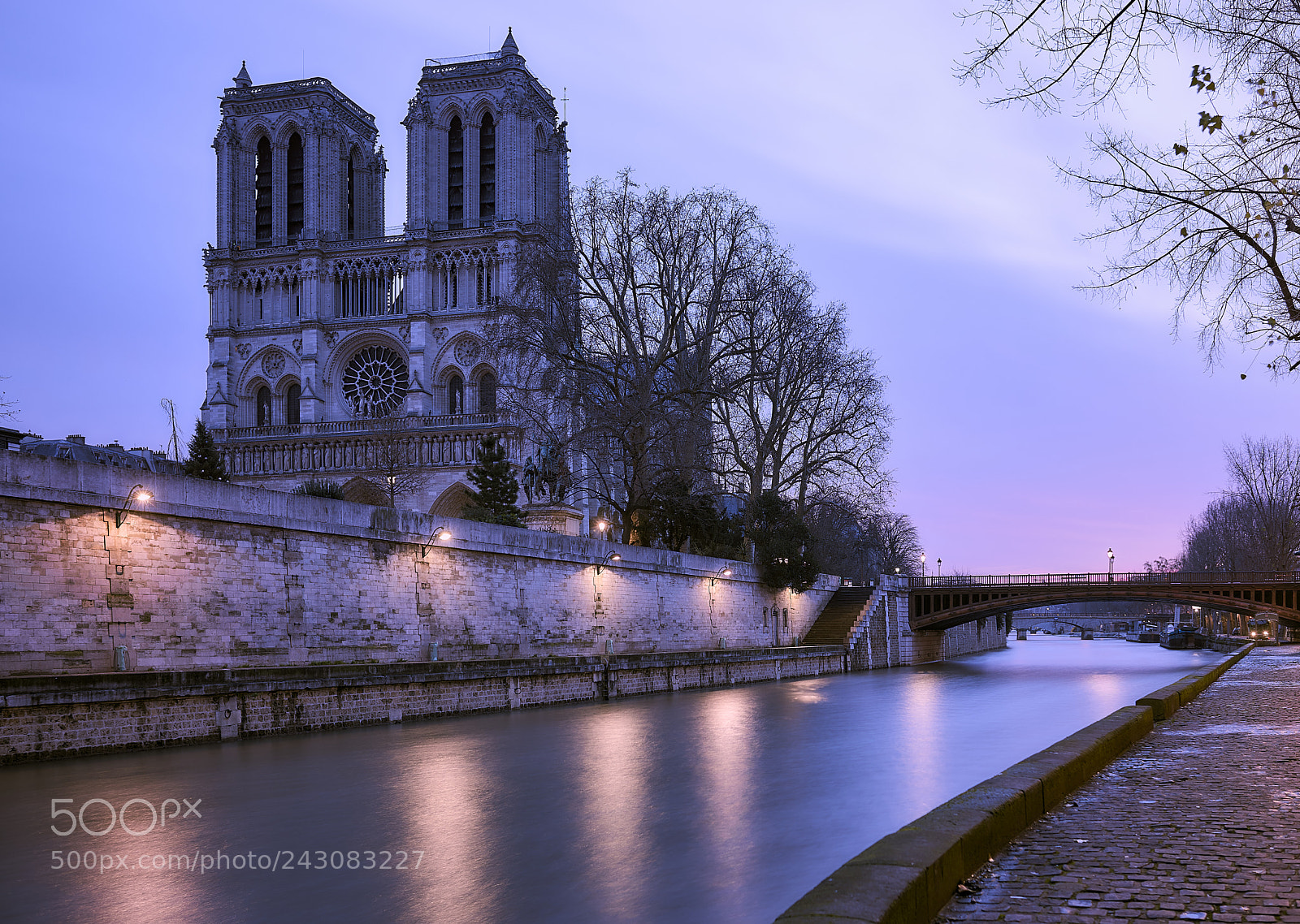 Nikon D810 sample photo. Winter morning photography