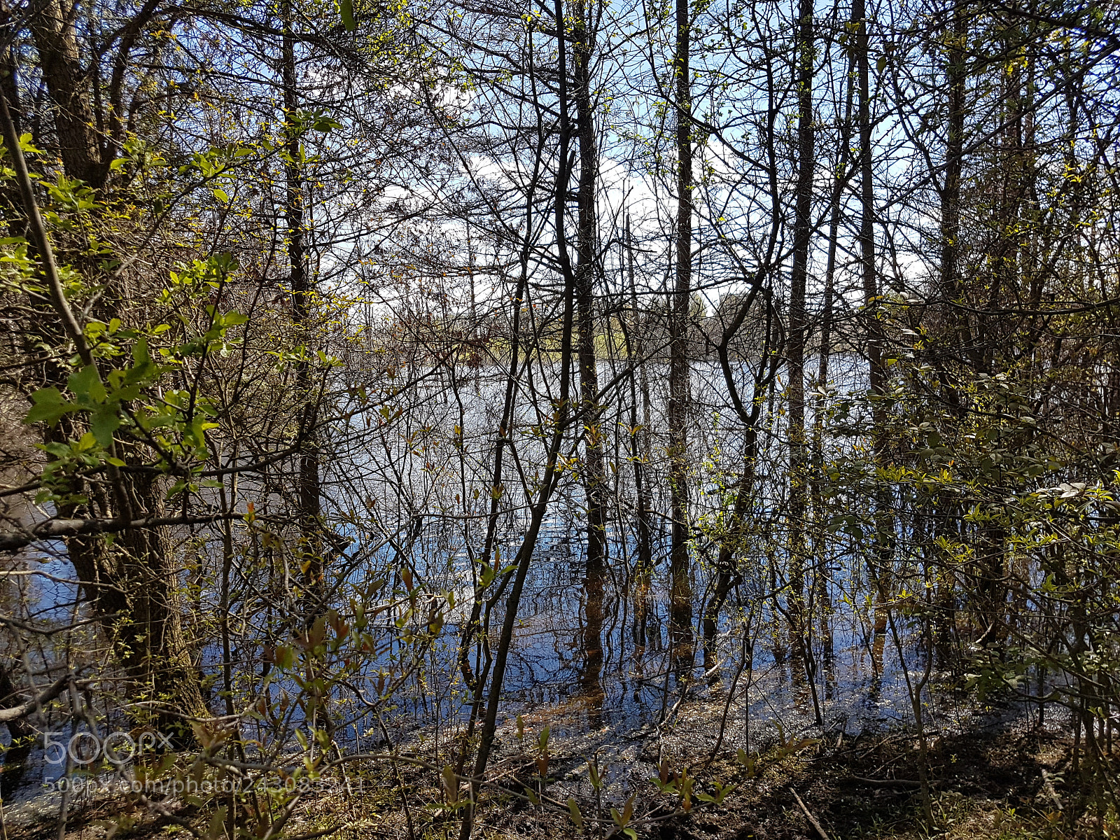 Samsung Galaxy S7 sample photo. Lake photography