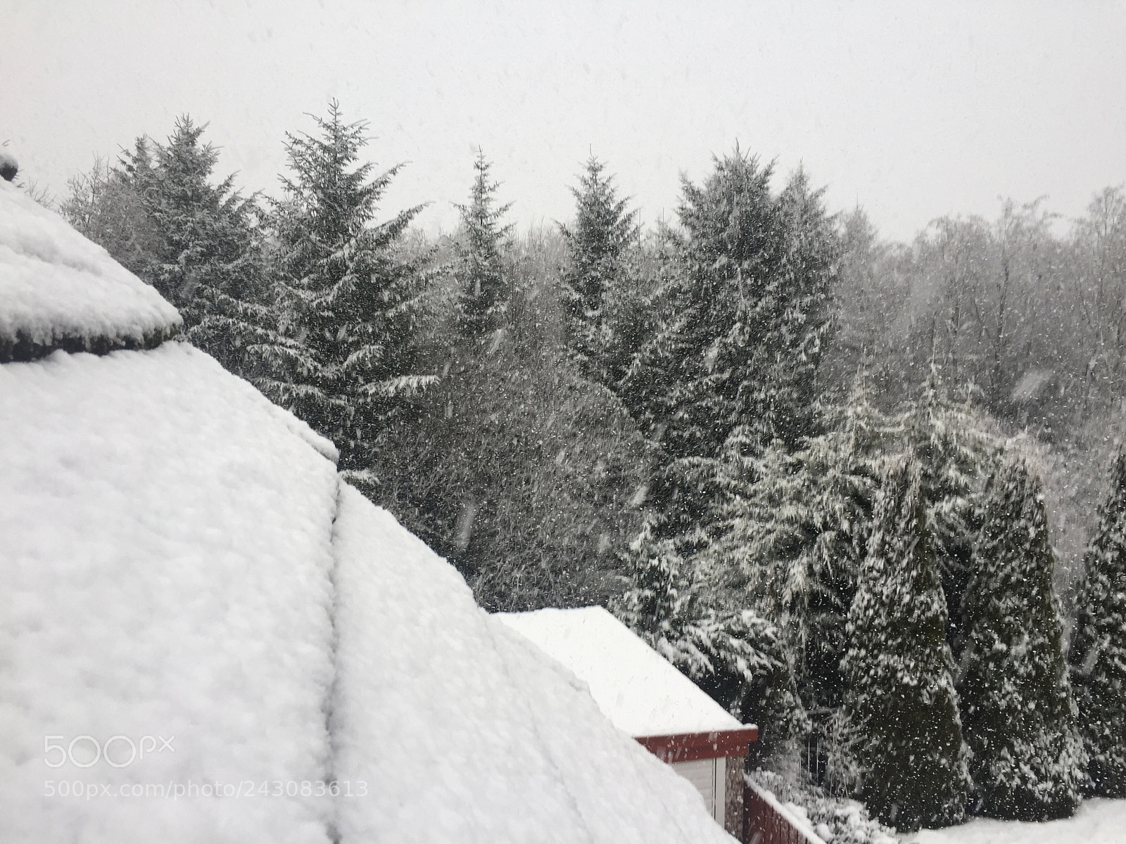 Apple iPhone 6 sample photo. Snowy snap photography