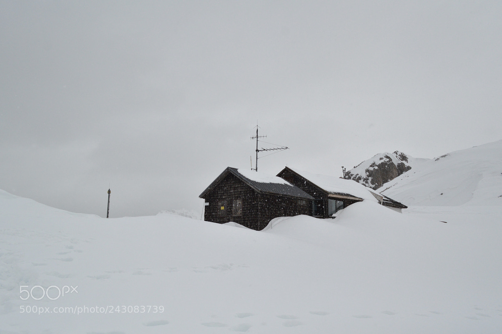 Nikon D3200 sample photo. In the snow photography