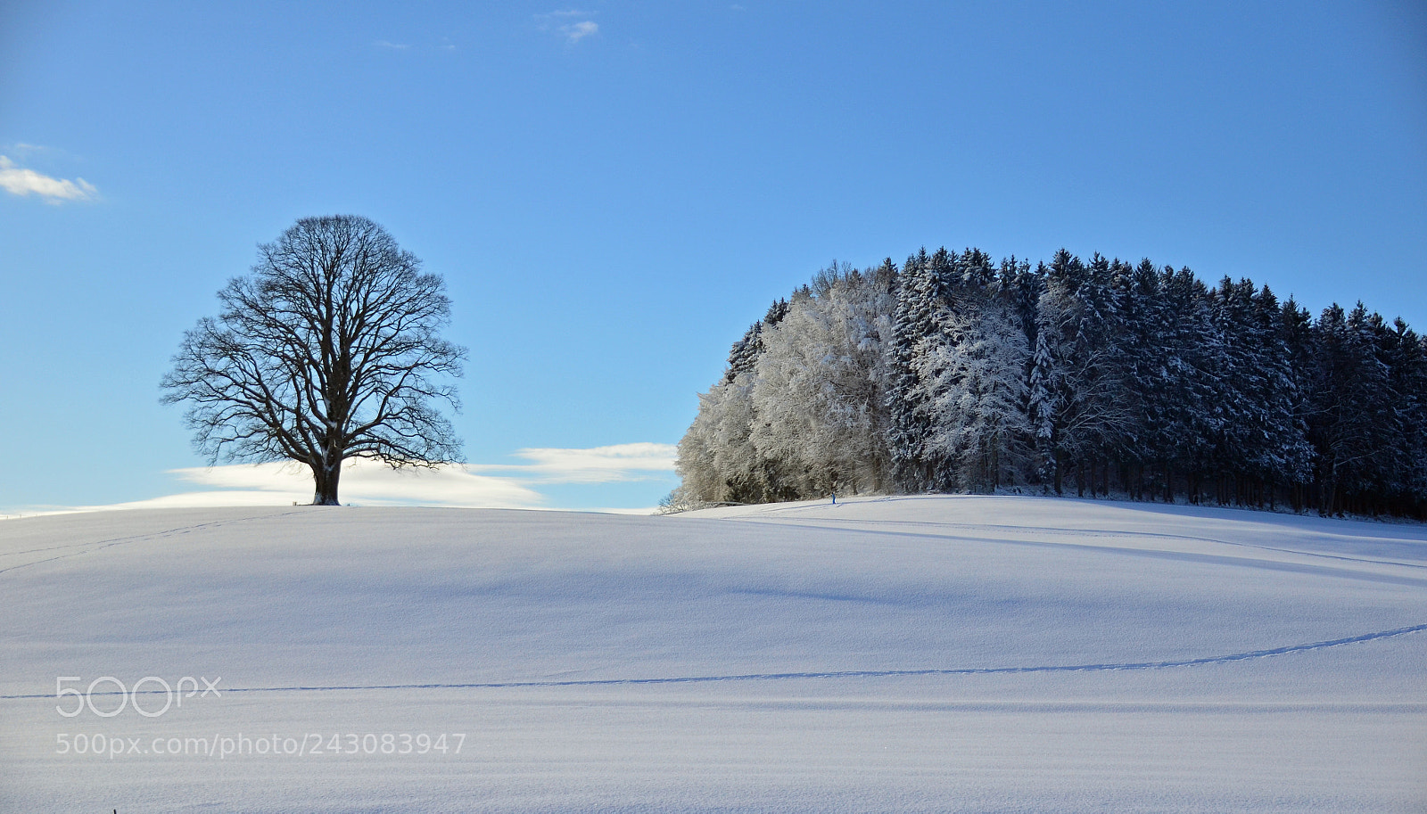 Nikon D5100 sample photo. Silence photography