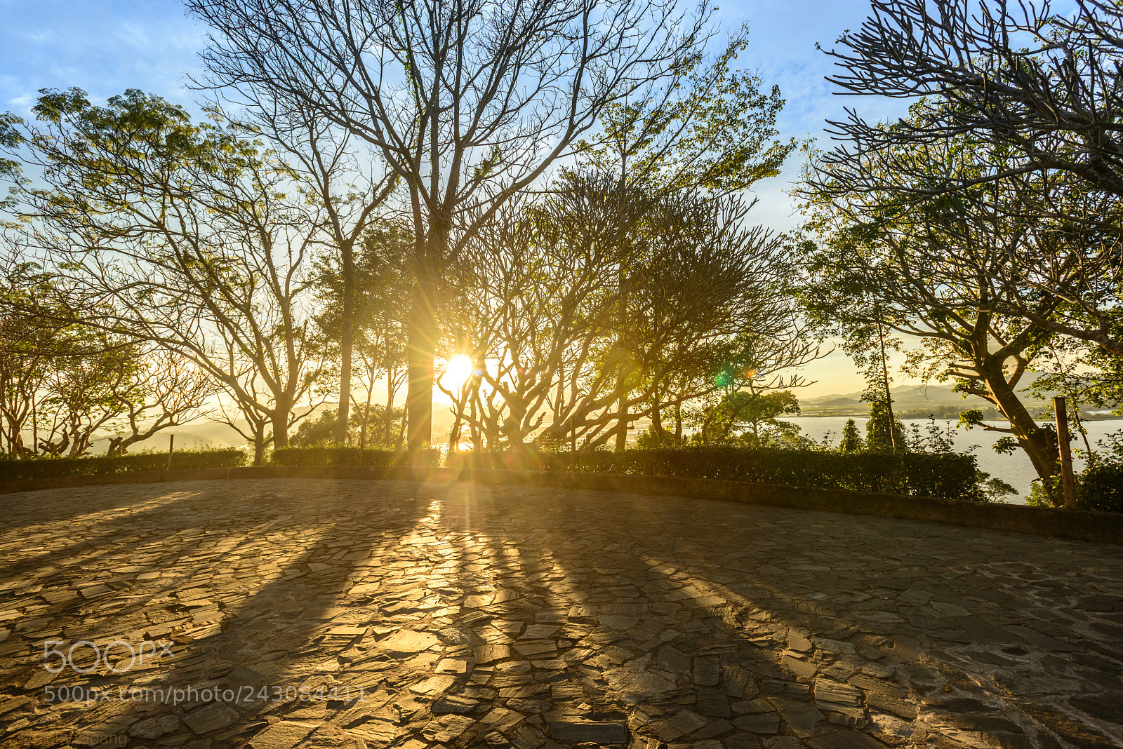 Nikon D800E sample photo. Hxt photography