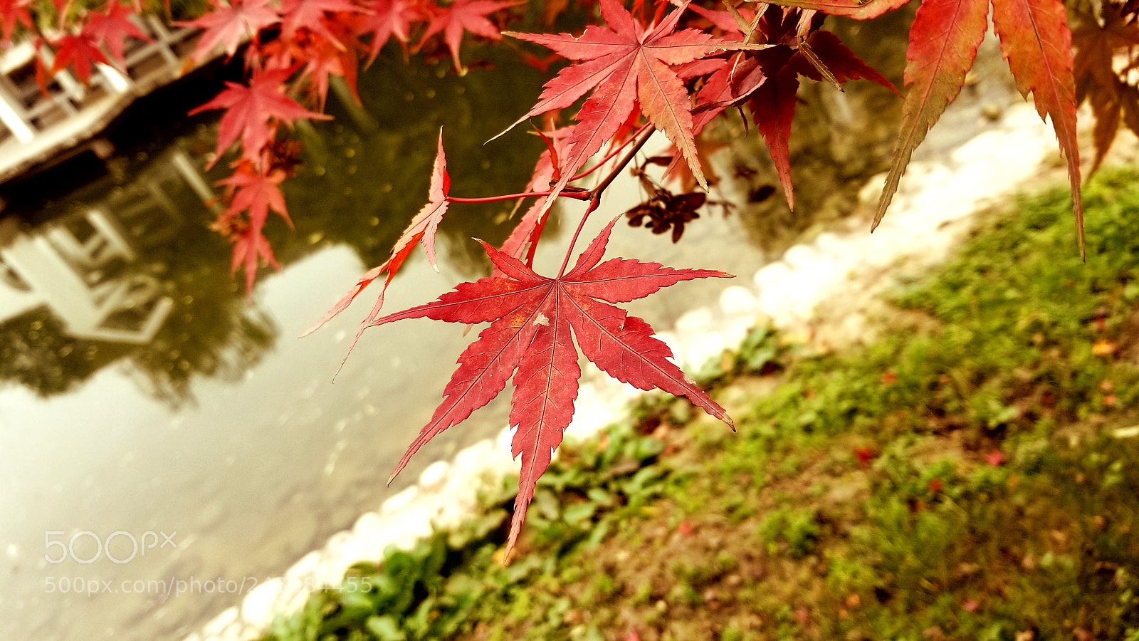 Samsung Galaxy S8+ sample photo. Untitled photography