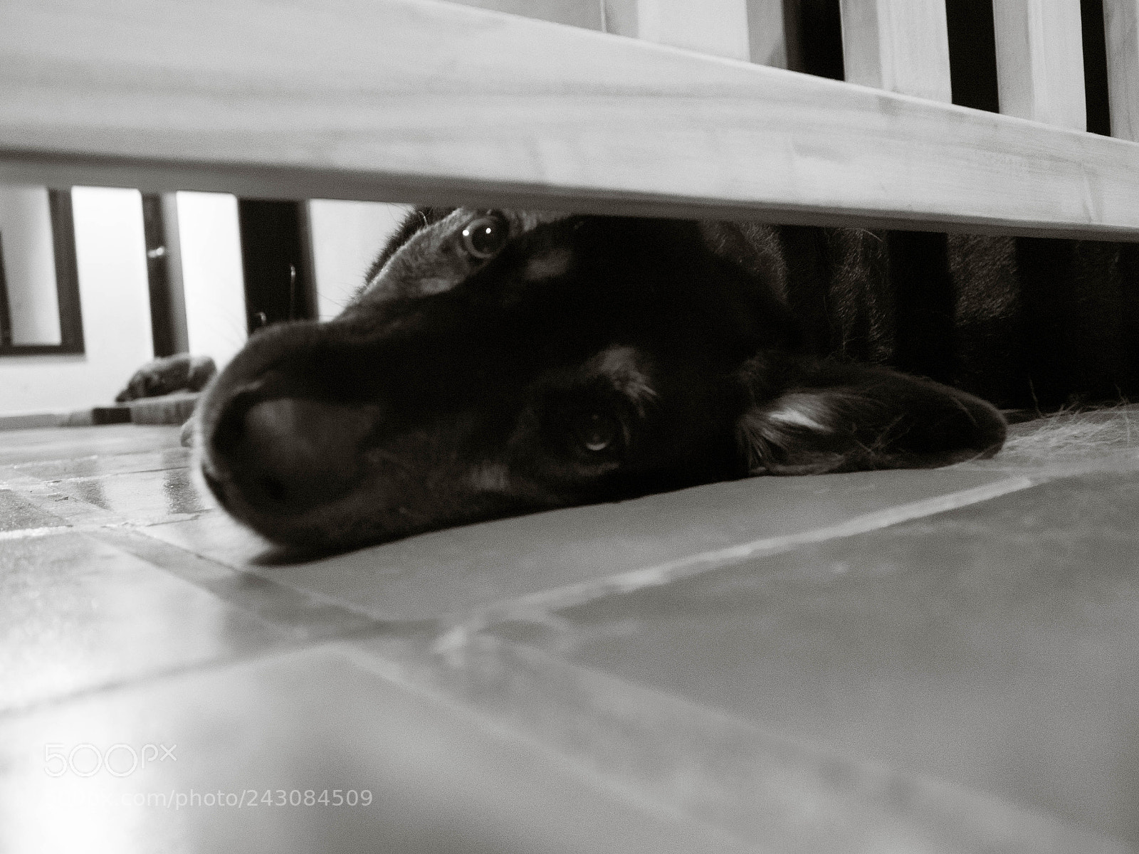 Olympus PEN E-PL6 sample photo. Hi!!! photography