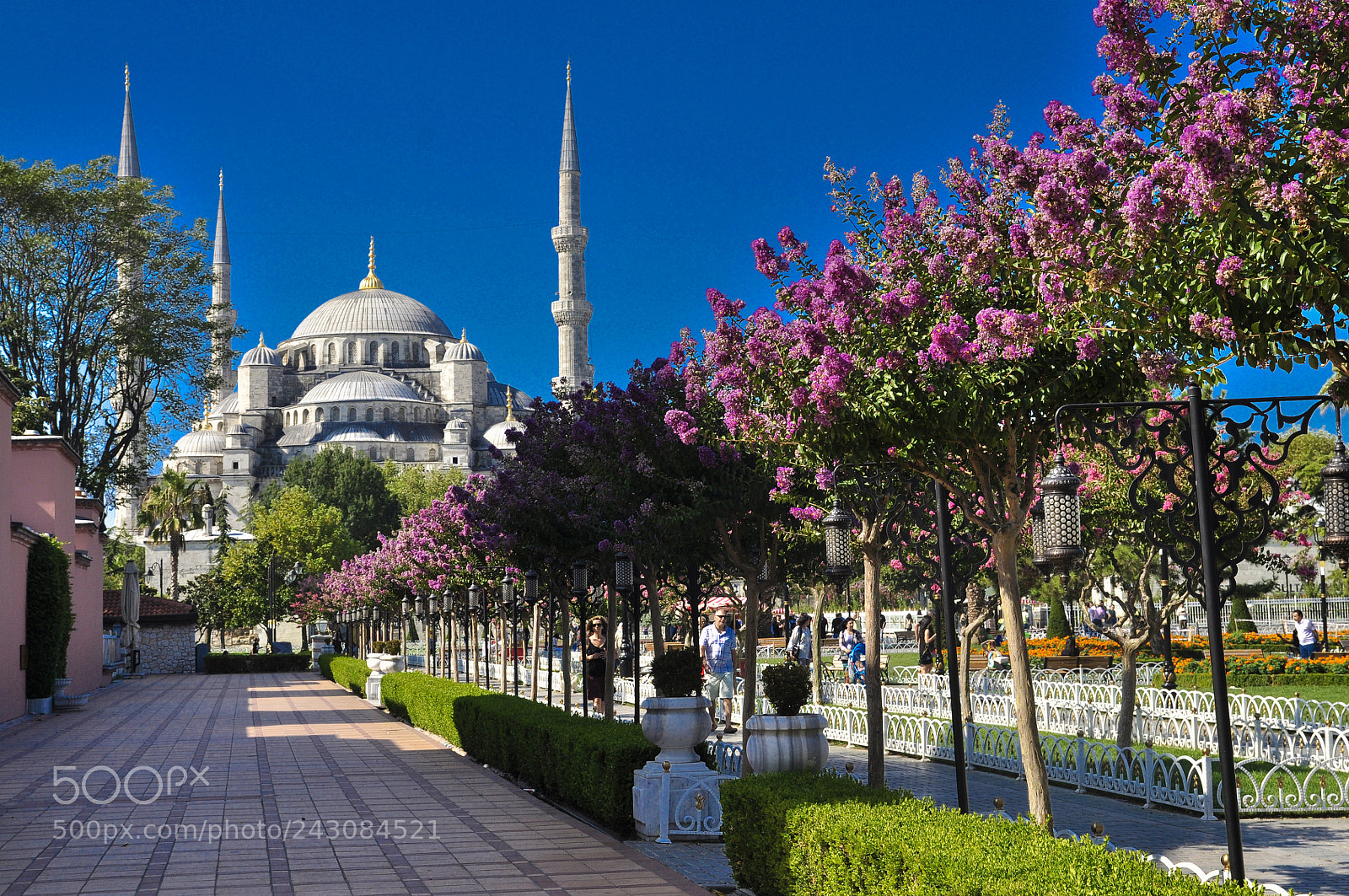 Nikon D90 sample photo. İstanbul-sultanahmet photography