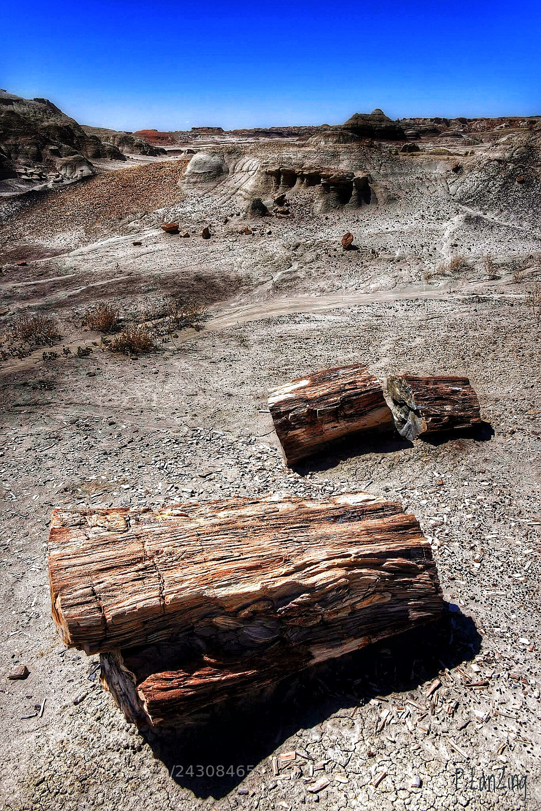 Nikon D810 sample photo. Petrified, bisti wilderness photography