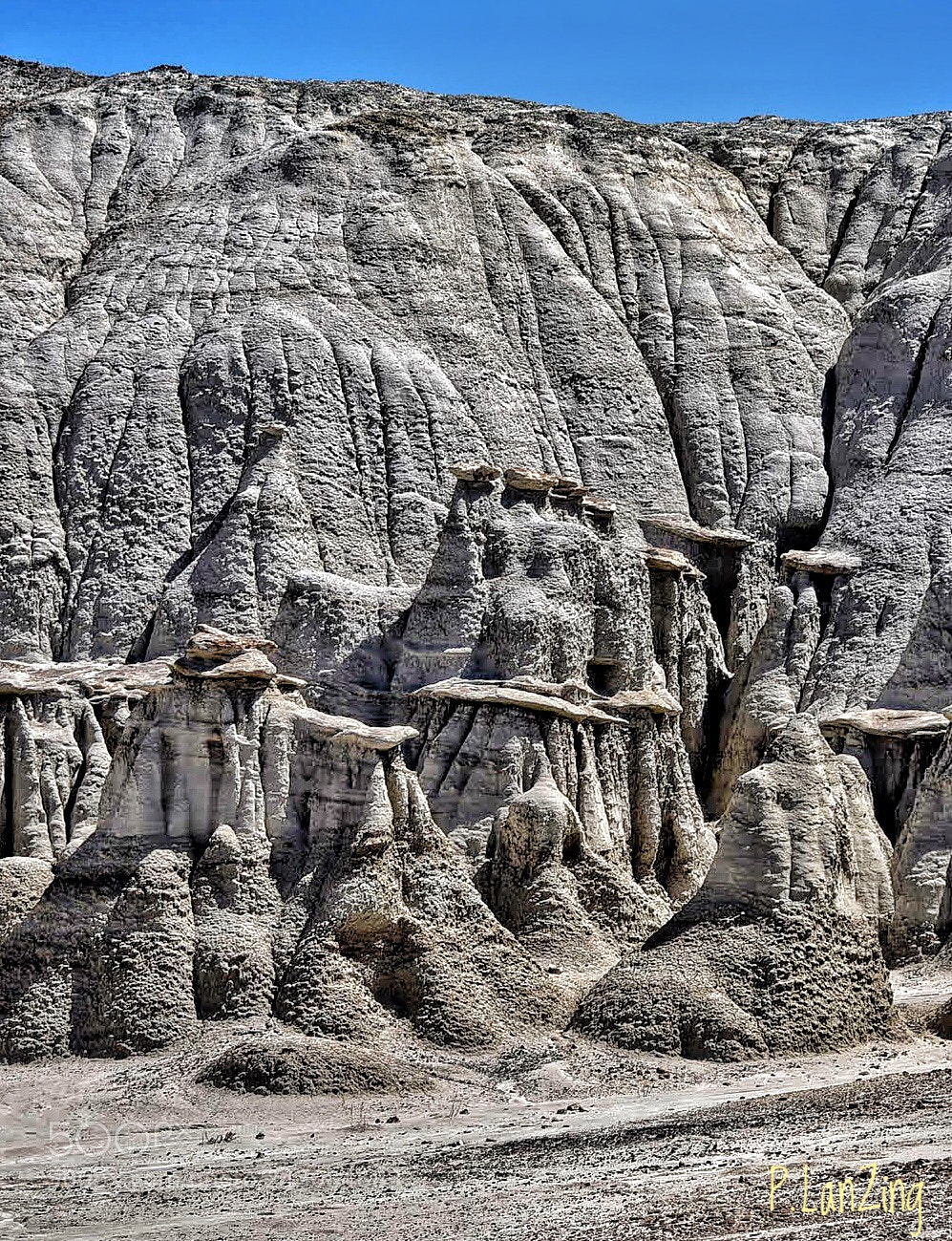 Nikon D810 sample photo. Bisti wilderness, new mexico photography