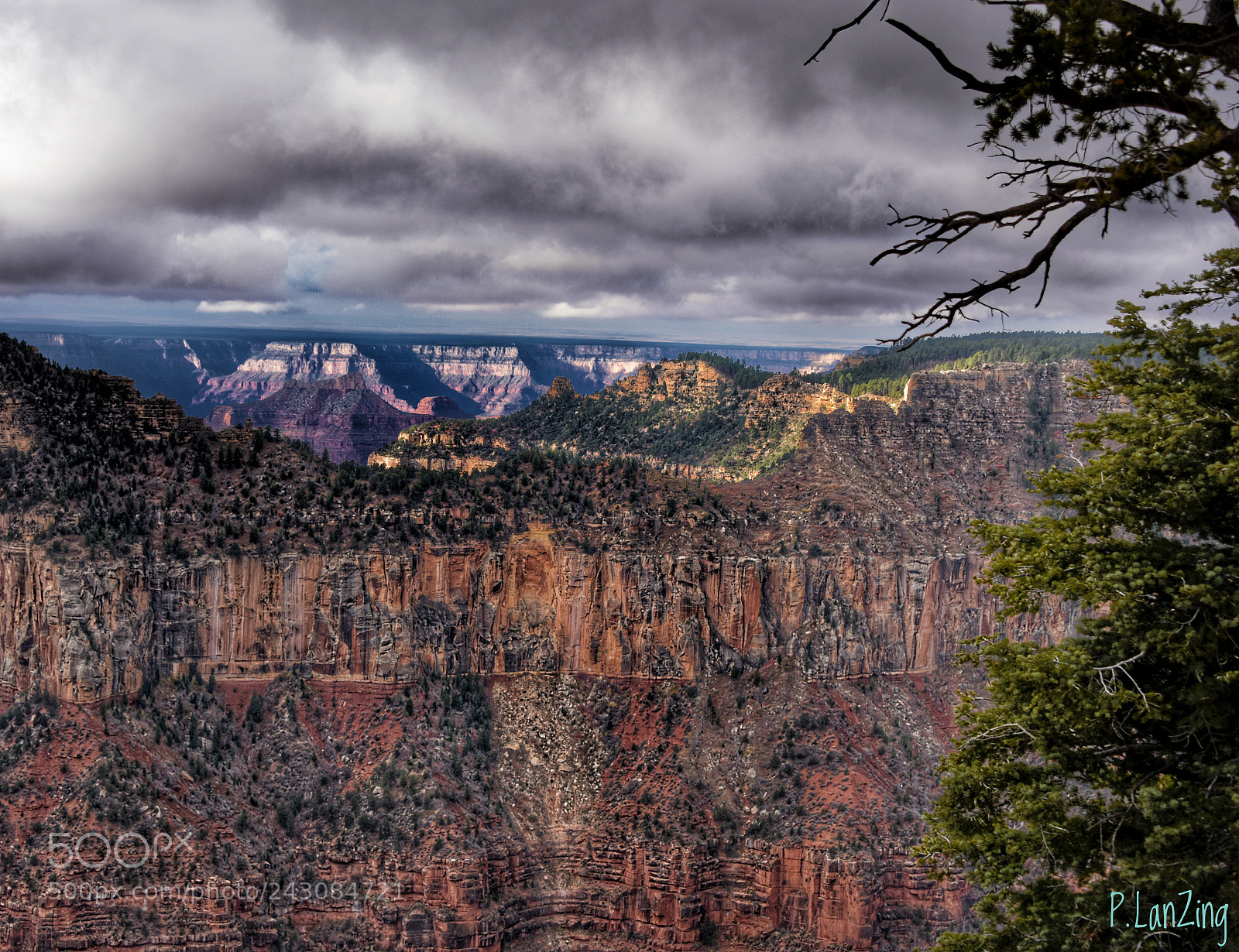 Nikon D810 sample photo. North rim photography