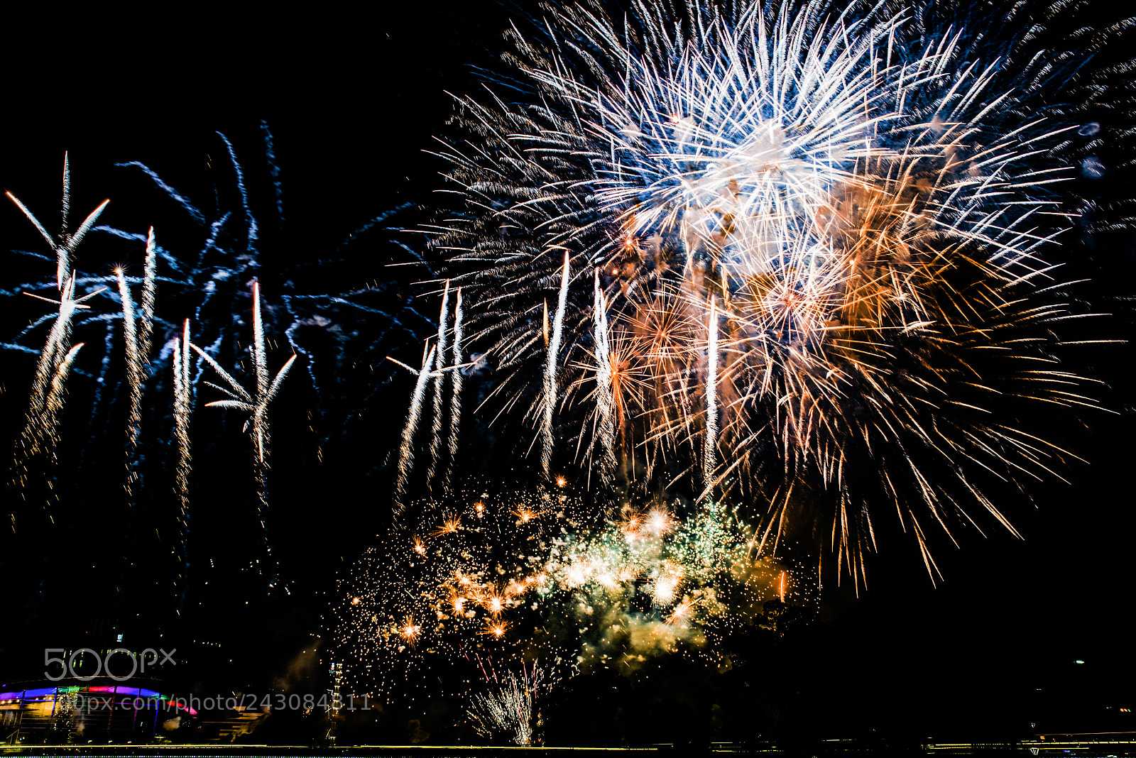 Nikon D610 sample photo. Untitled photography
