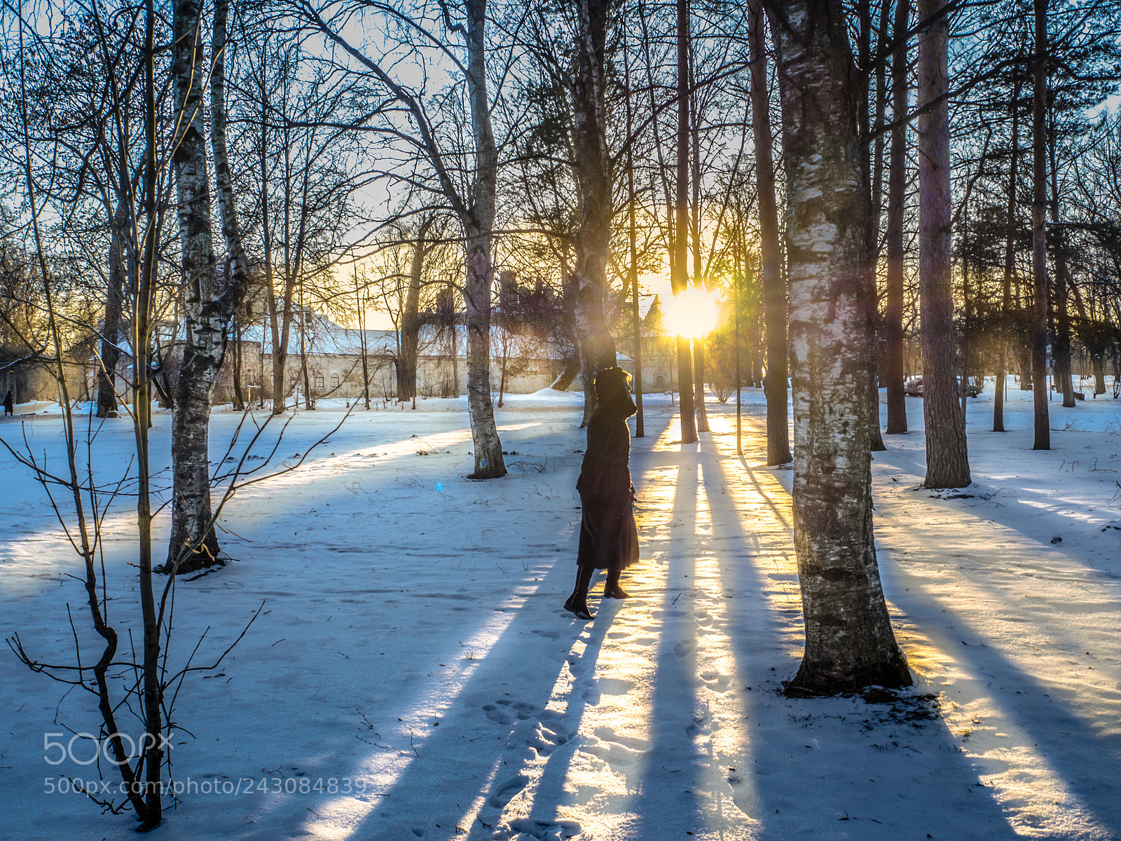 Olympus OM-D E-M10 II sample photo. Epiphany frost and the photography