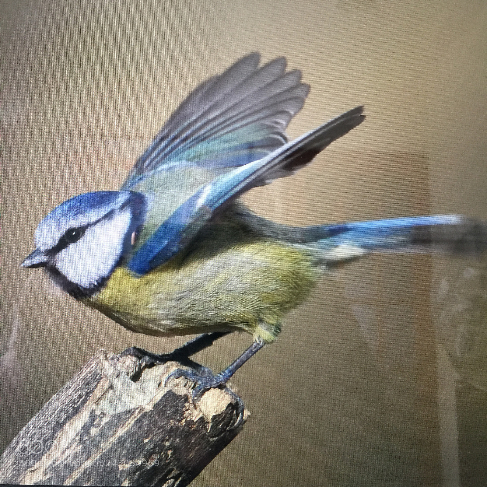 Apple iPhone 6 Plus sample photo. This was taken last photography
