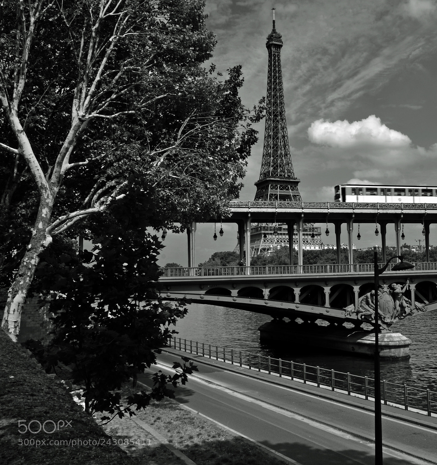 Nikon D7100 sample photo. J'ai encore loup mon photography