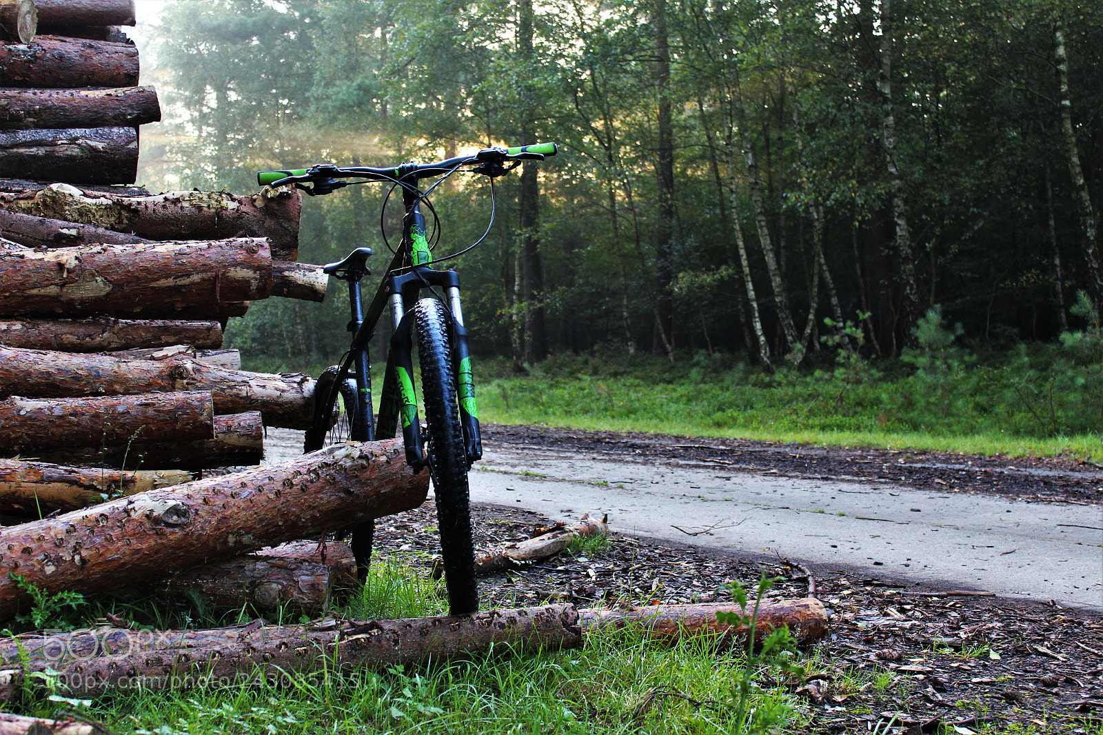Canon EOS 1300D (EOS Rebel T6 / EOS Kiss X80) sample photo. Riding in the morning photography