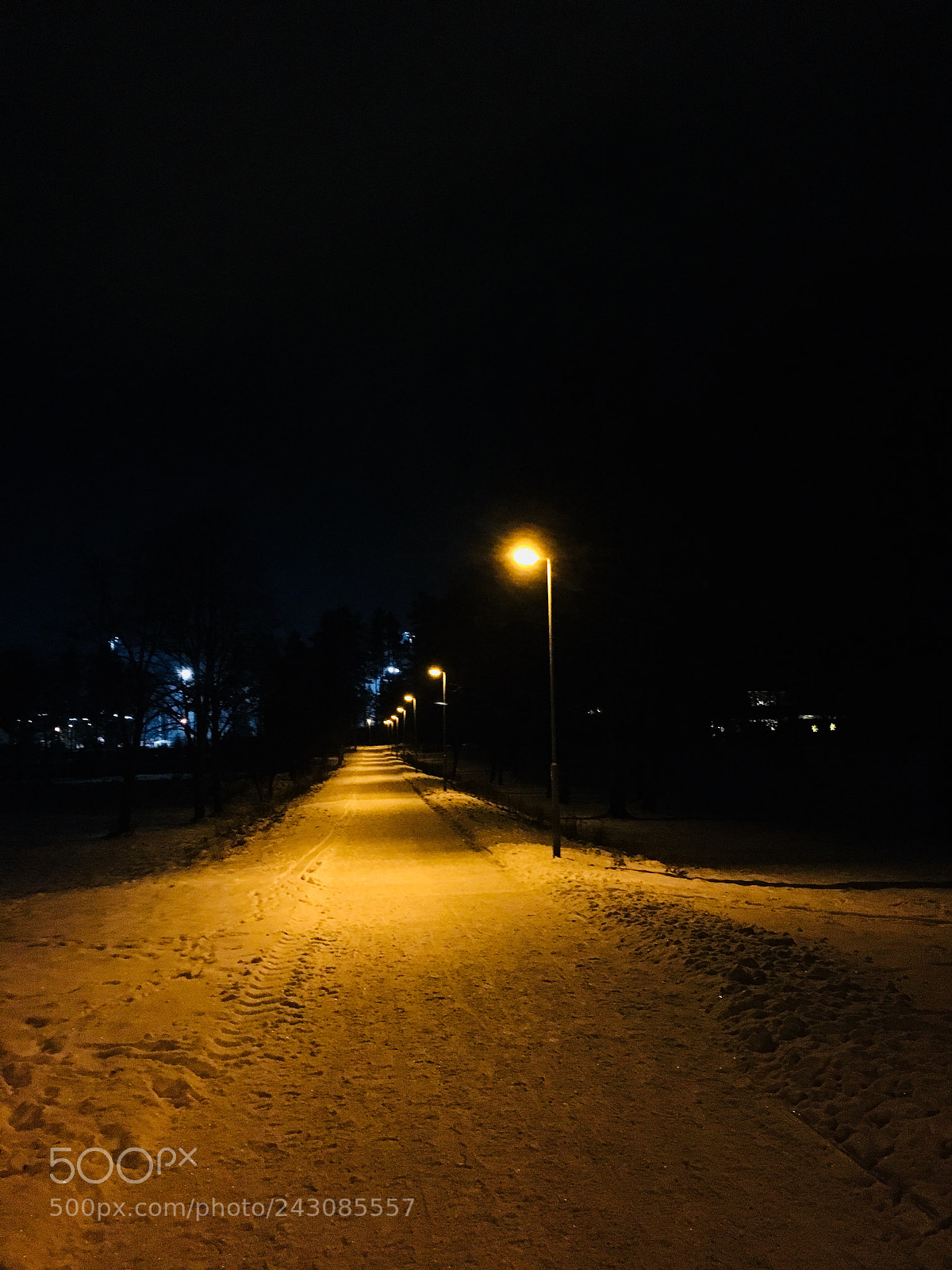 Apple iPhone 6s sample photo. Winter wonderland photography