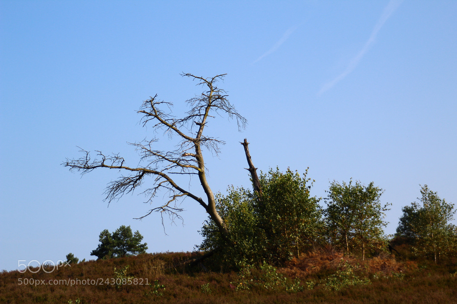 Canon EOS 1300D (EOS Rebel T6 / EOS Kiss X80) sample photo. Beautiful landscape near buchholz photography