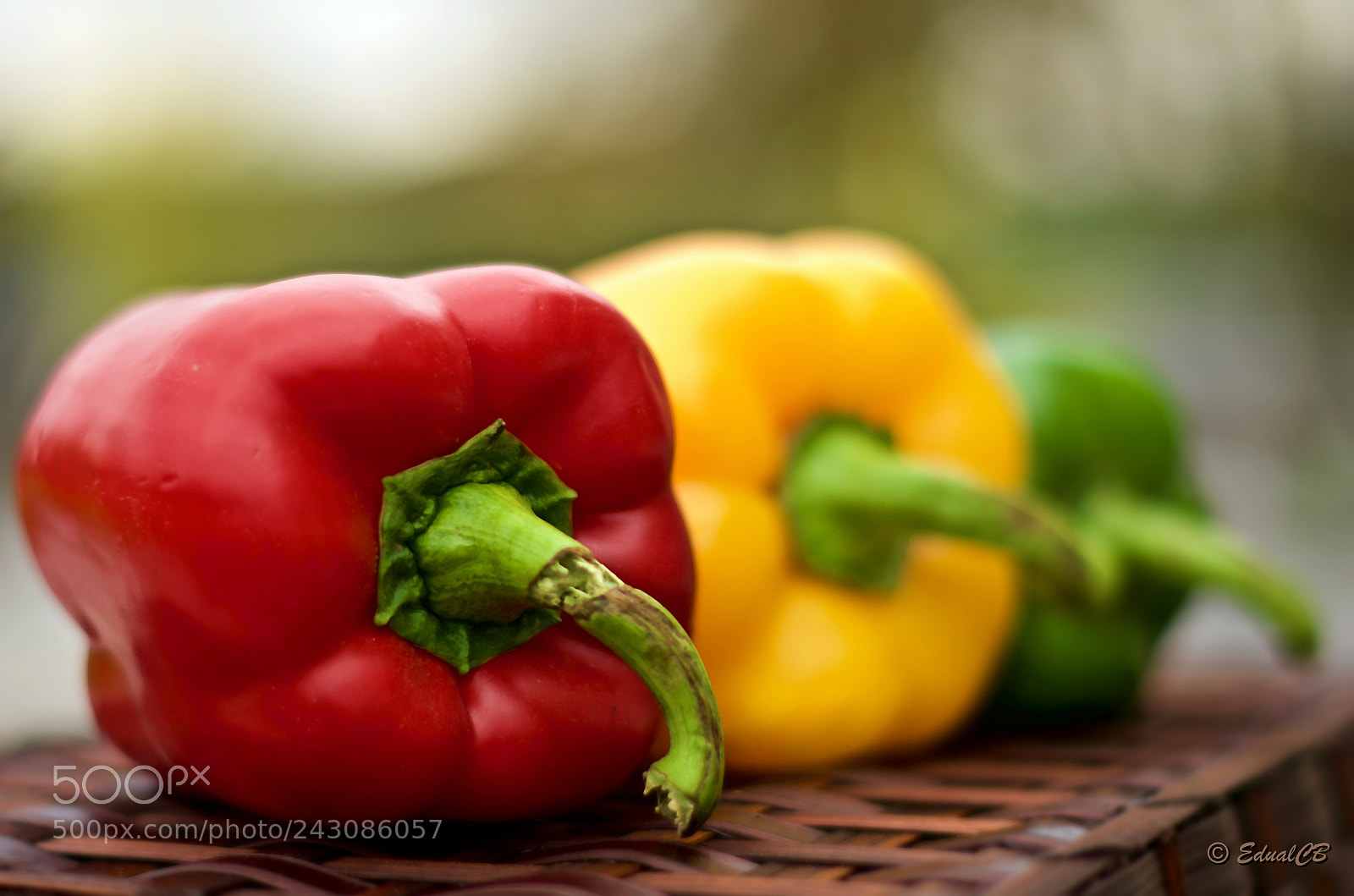 Pentax K-5 sample photo. Three colours peppers photography
