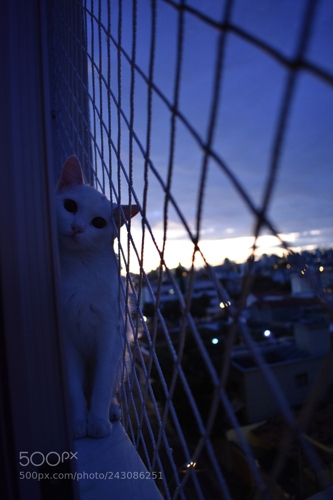 Nikon D3400 sample photo. Let's play photography