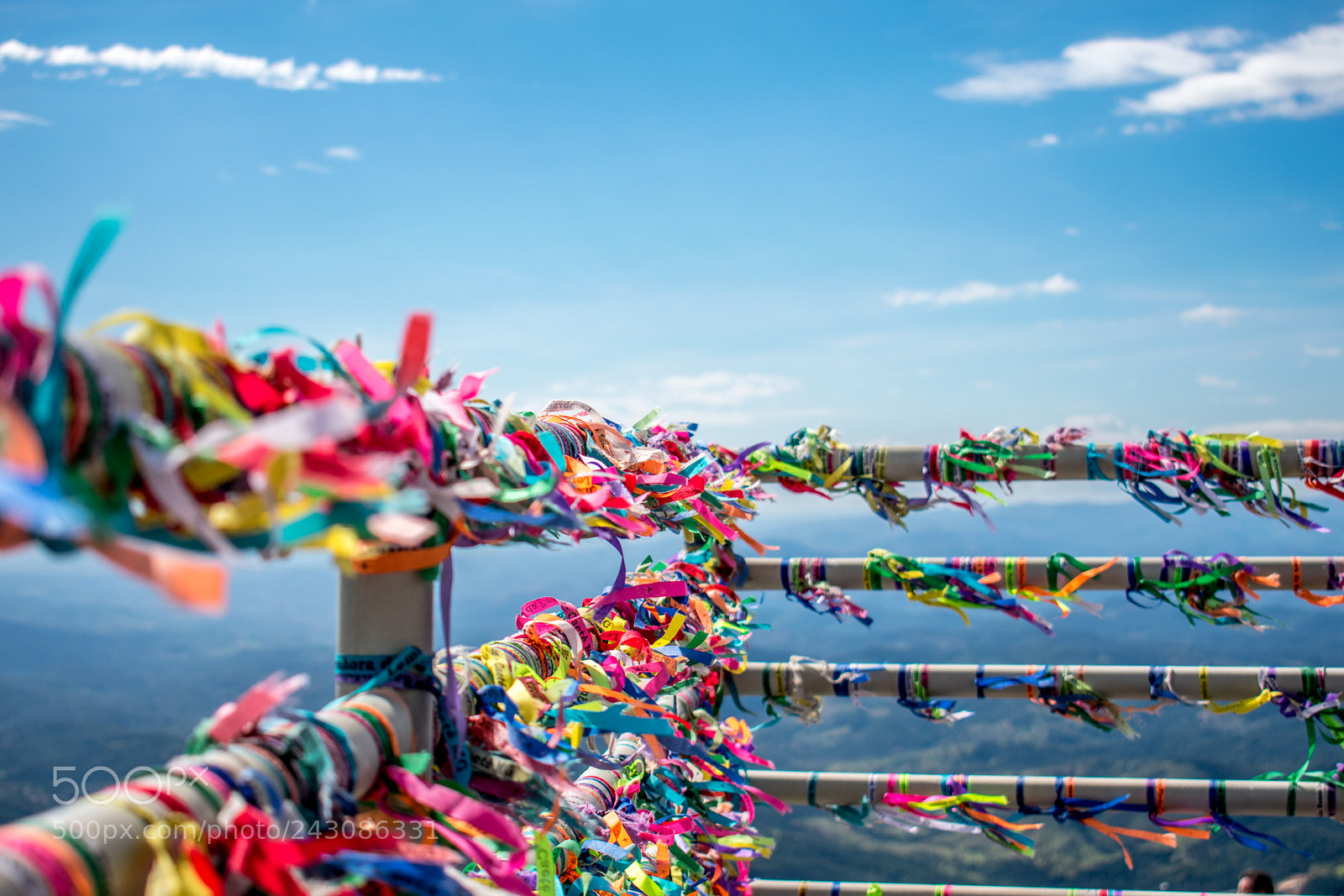 Nikon D3400 sample photo. Full of wishes photography