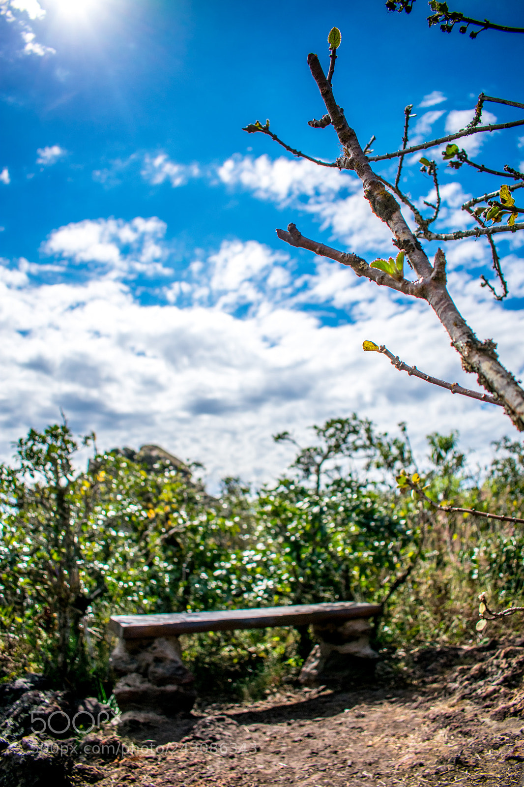 Nikon D3400 sample photo. Untitled photography
