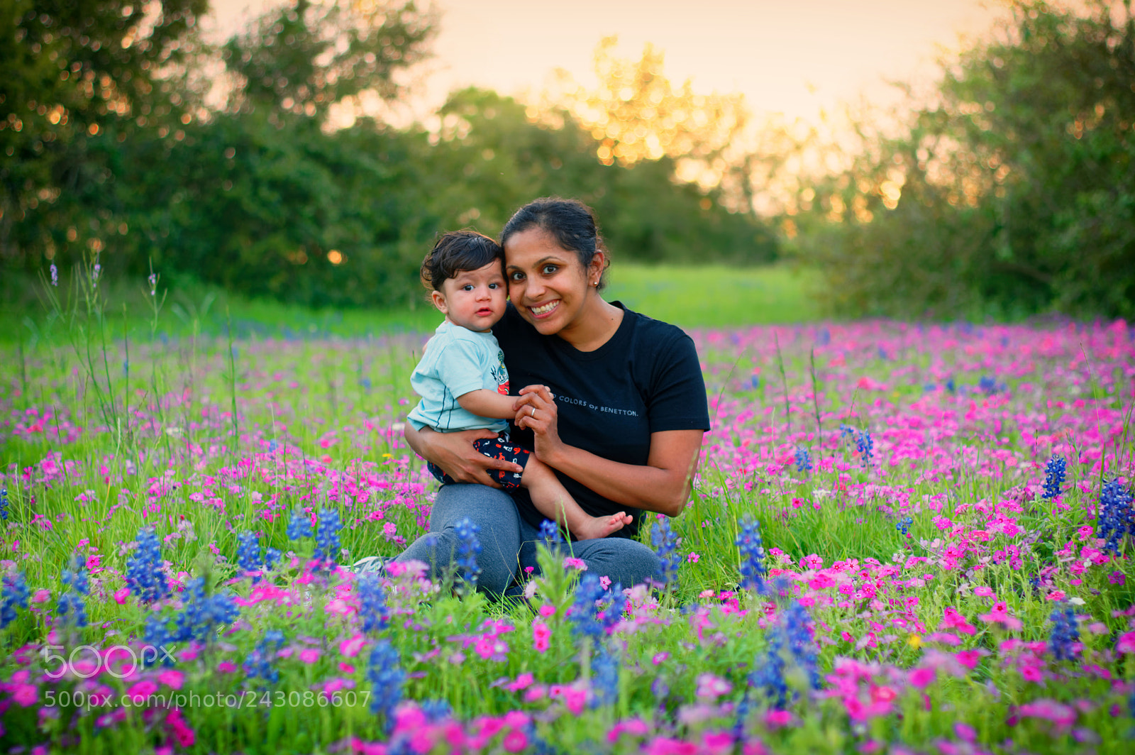 Pentax K-3 sample photo. Wildflower portrait photography