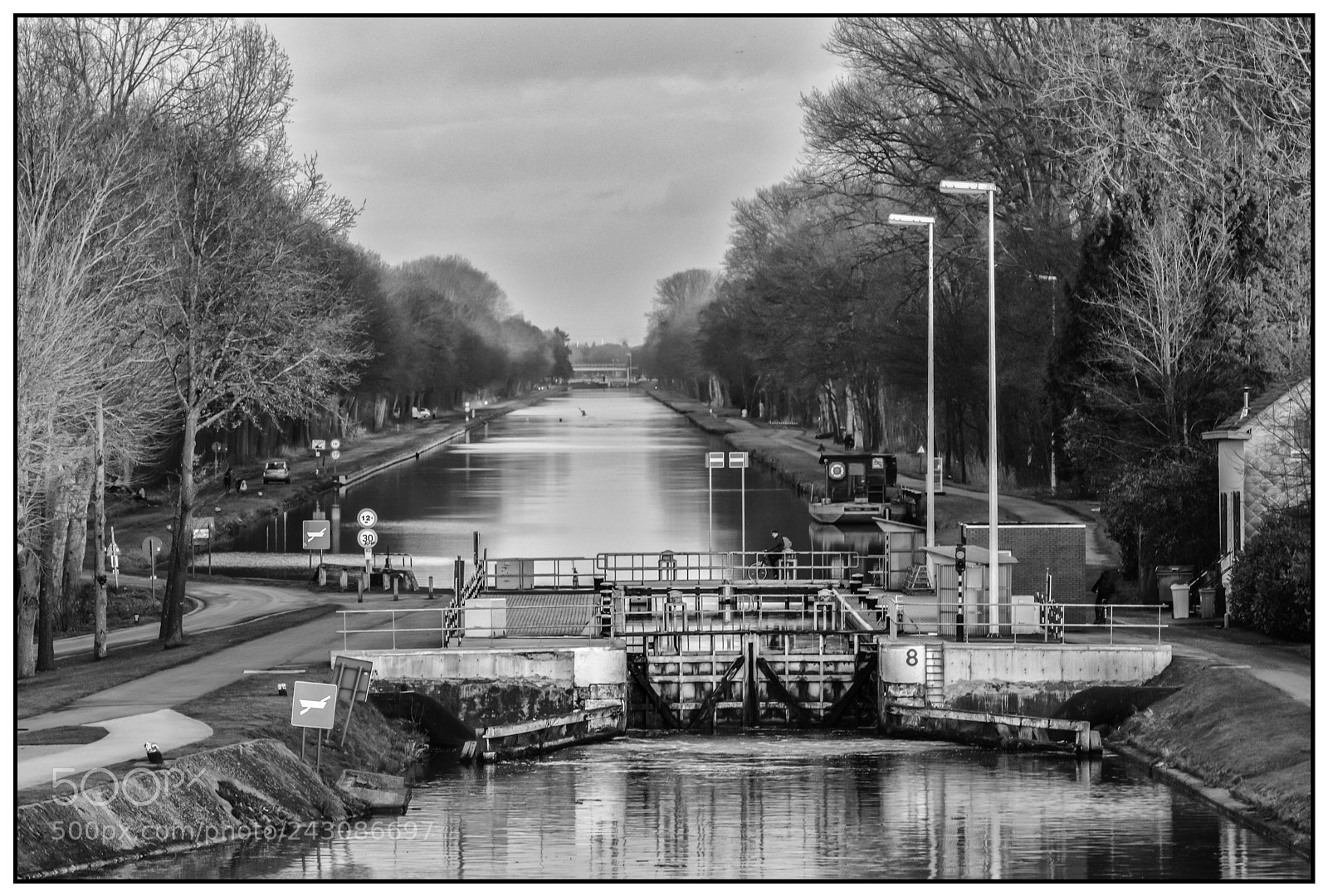 Nikon D7100 sample photo. Ten aard - geel photography