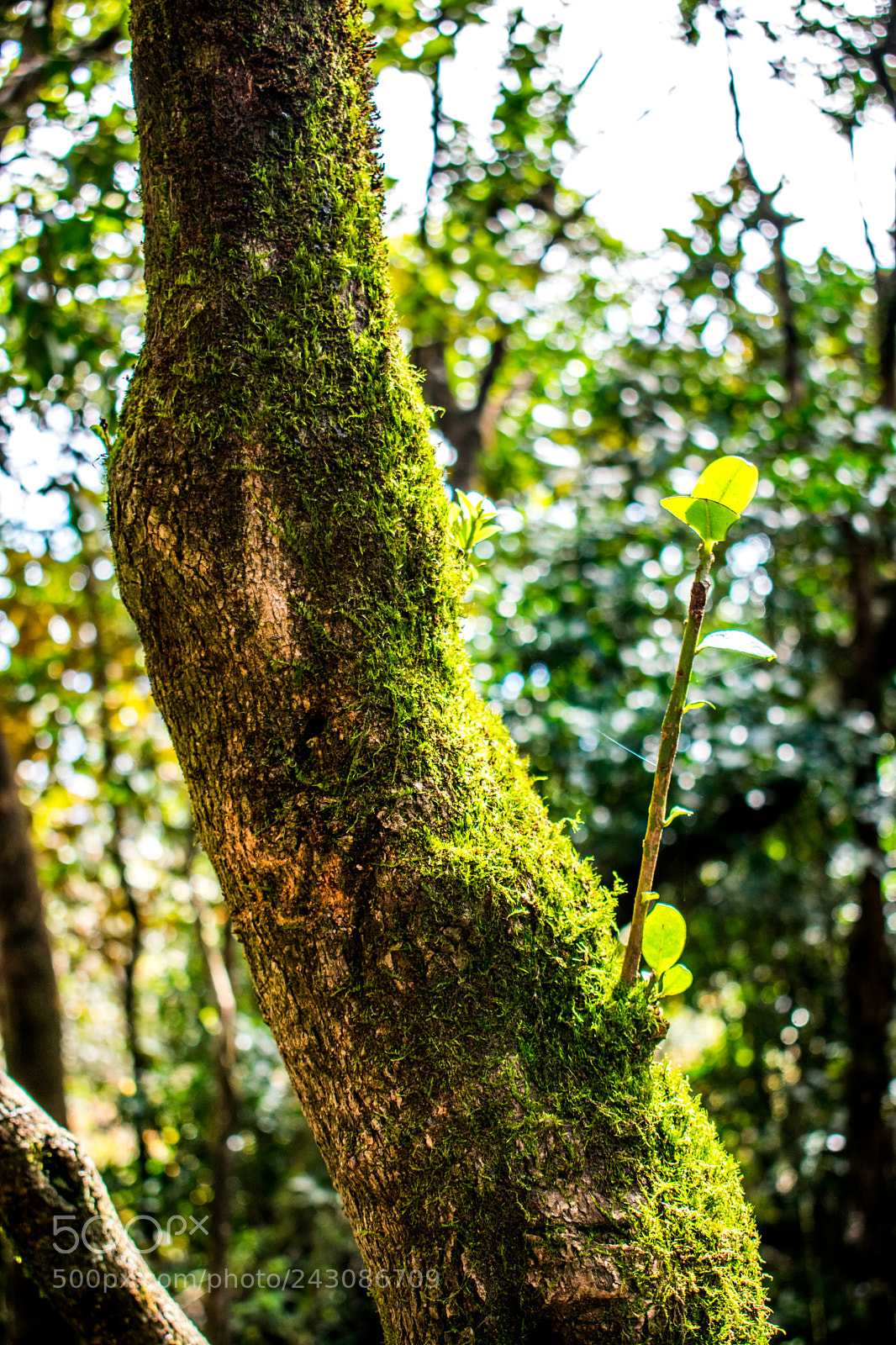 Nikon D3400 sample photo. Untitled photography