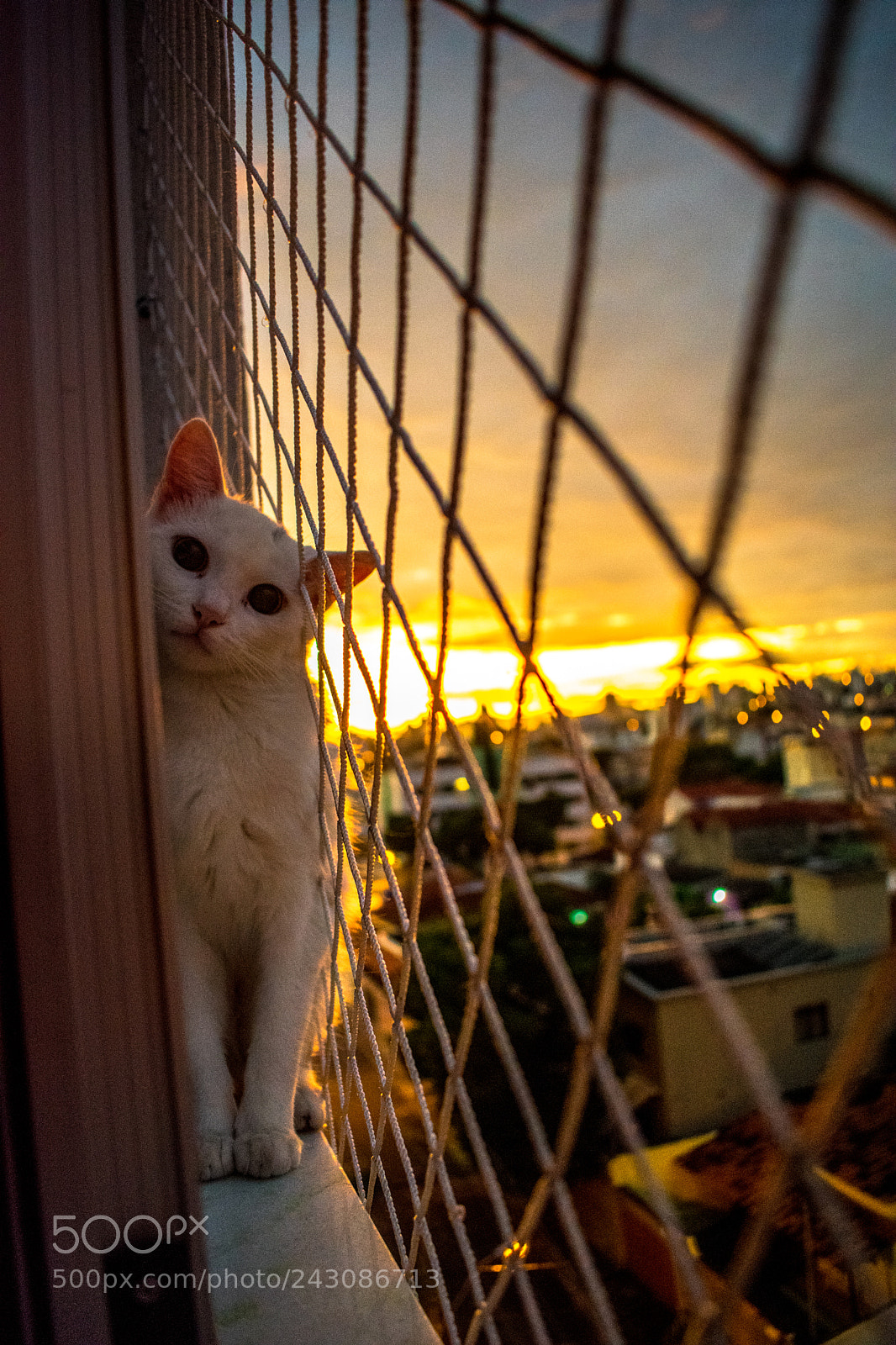 Nikon D3400 sample photo. Let's play photography