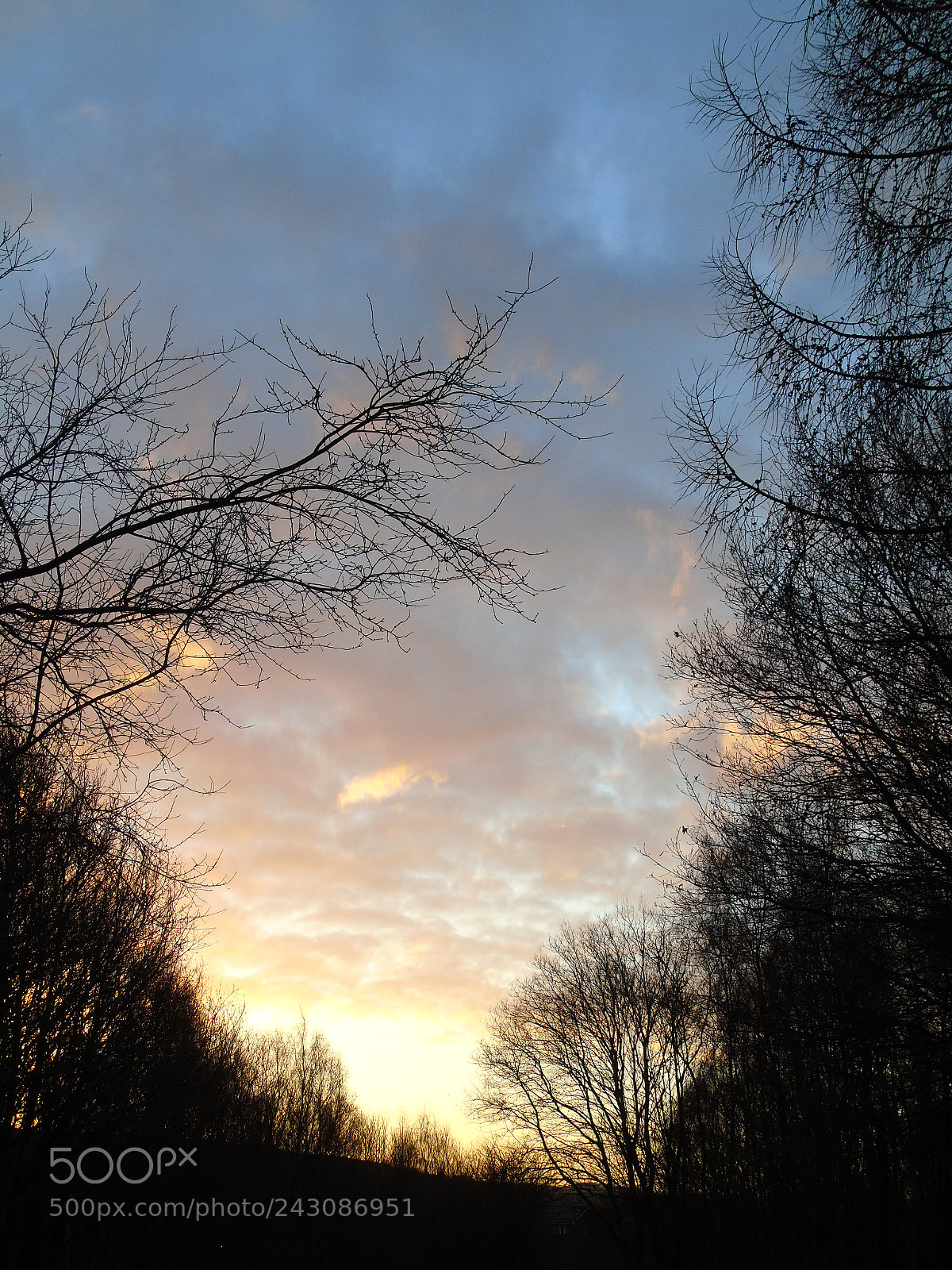 Sony Cyber-shot DSC-H400 sample photo. Sunrise in the clearing photography