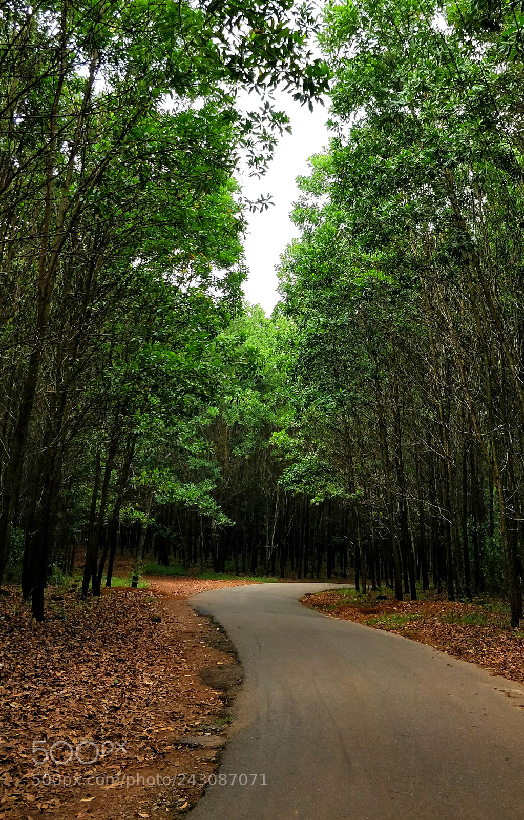 OnePlus 5 sample photo. Somewhere near trivandrum photography