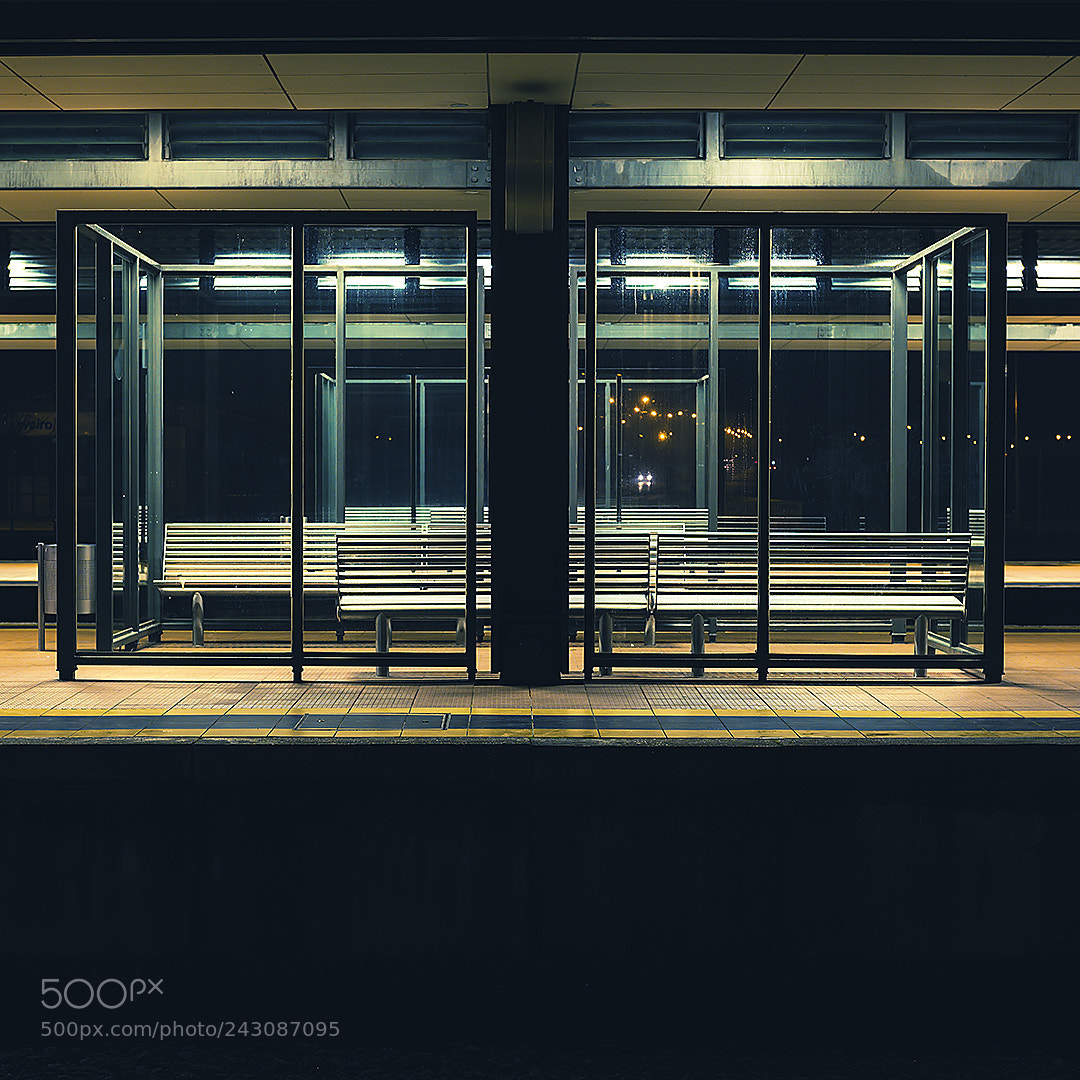 Fujifilm X-T2 sample photo. Cp_avr.jpg photography