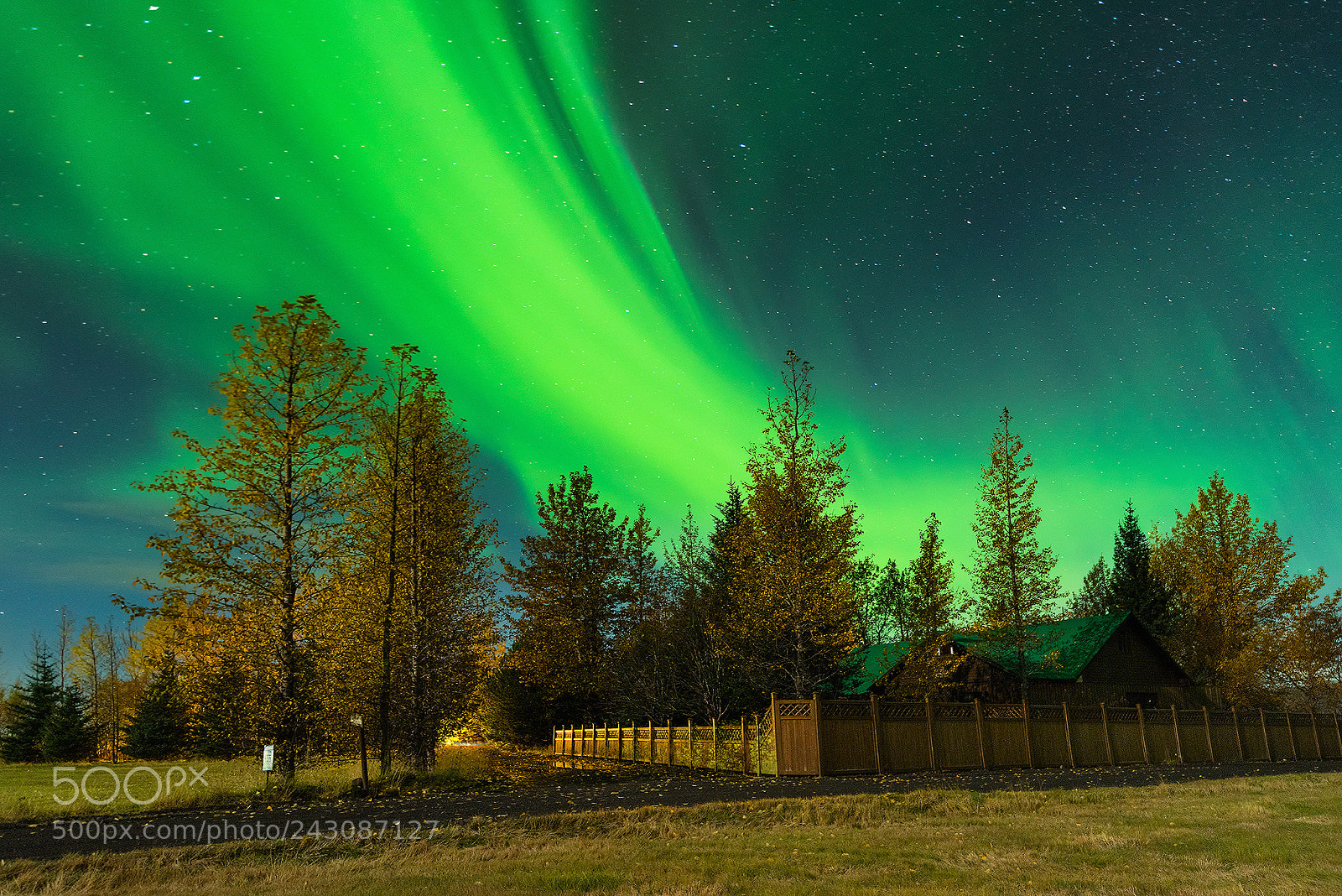 Nikon D810 sample photo. The green thunder photography