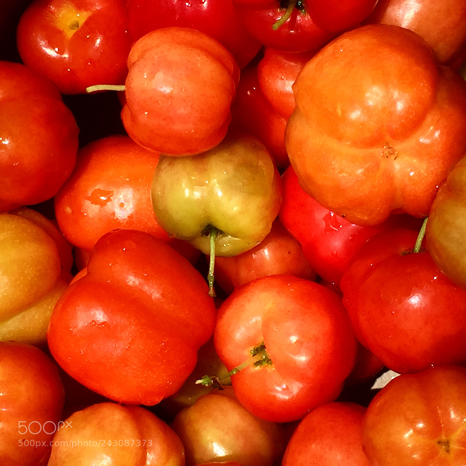 Apple iPhone 6 sample photo. Fruits photography