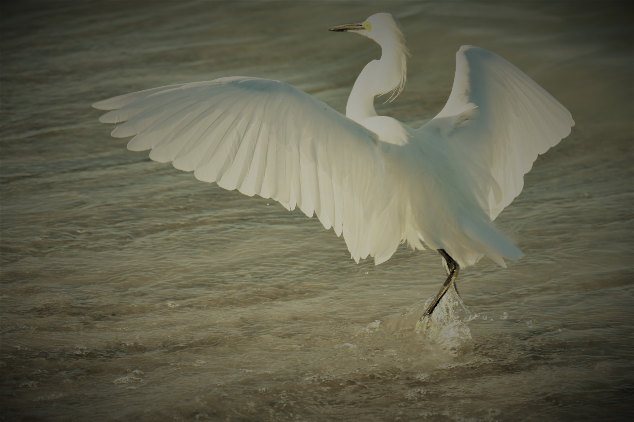 Nikon AF-S Nikkor 70-200mm F2.8G ED VR II sample photo
